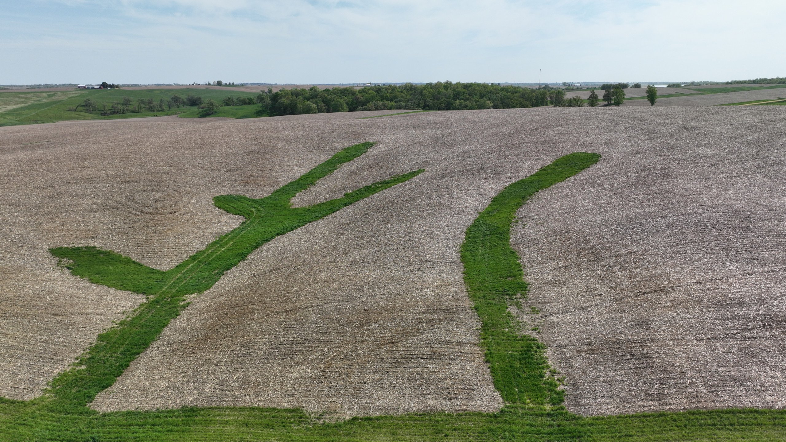 Clinton County, Iowa Farm For Sale