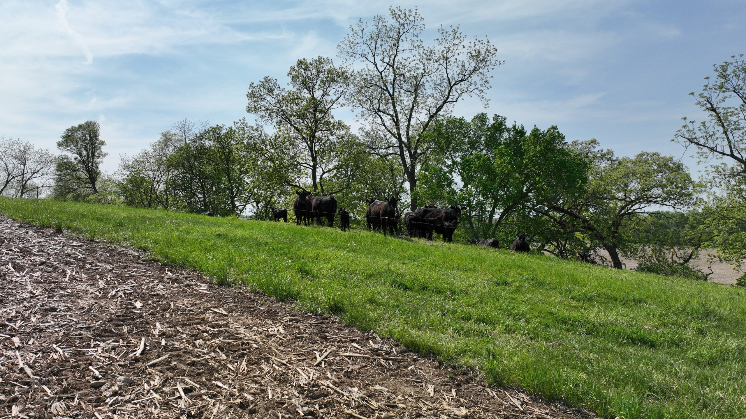 Clinton County, Iowa Farm For Sale