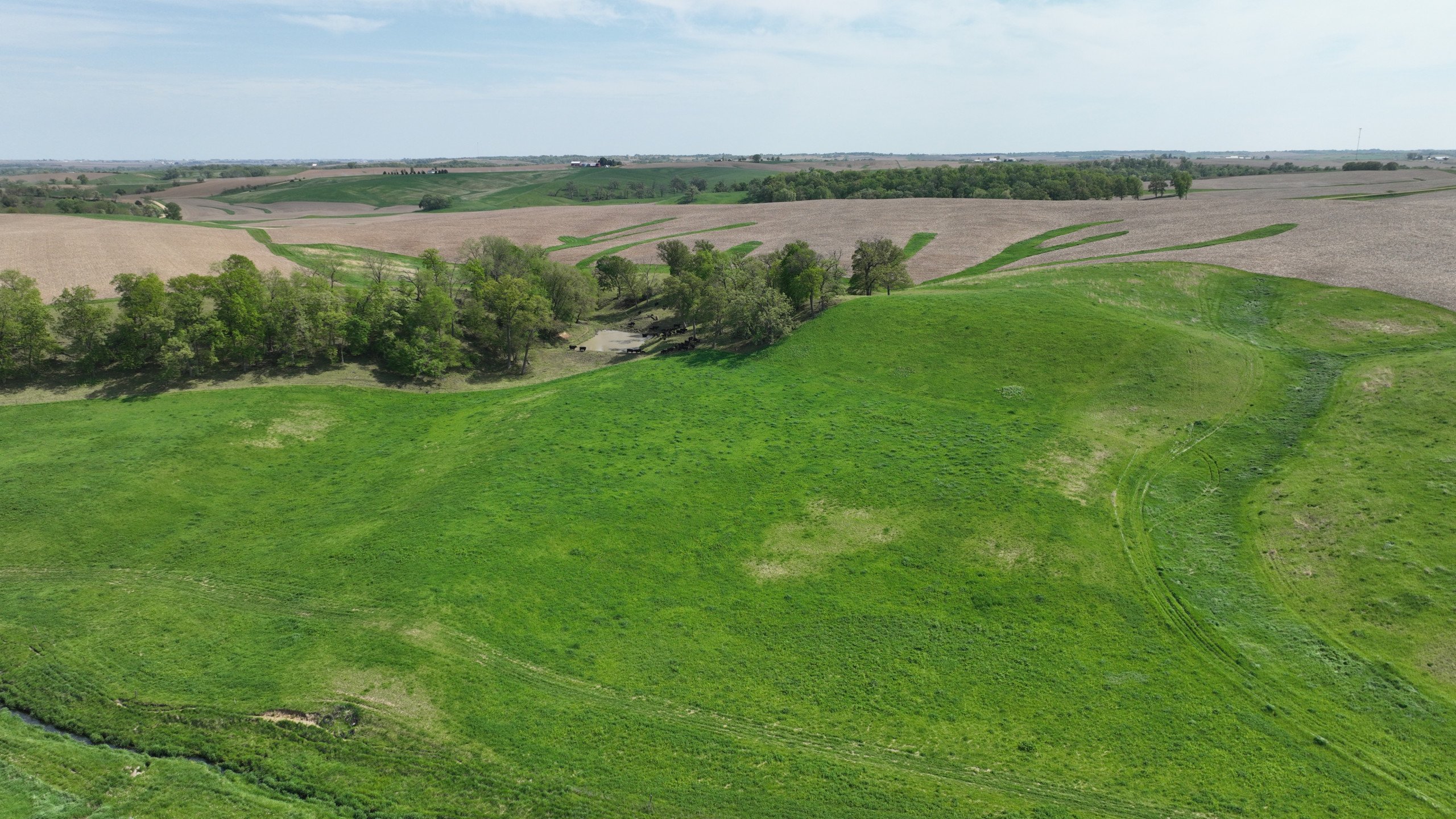 Clinton County, Iowa Farm For Sale