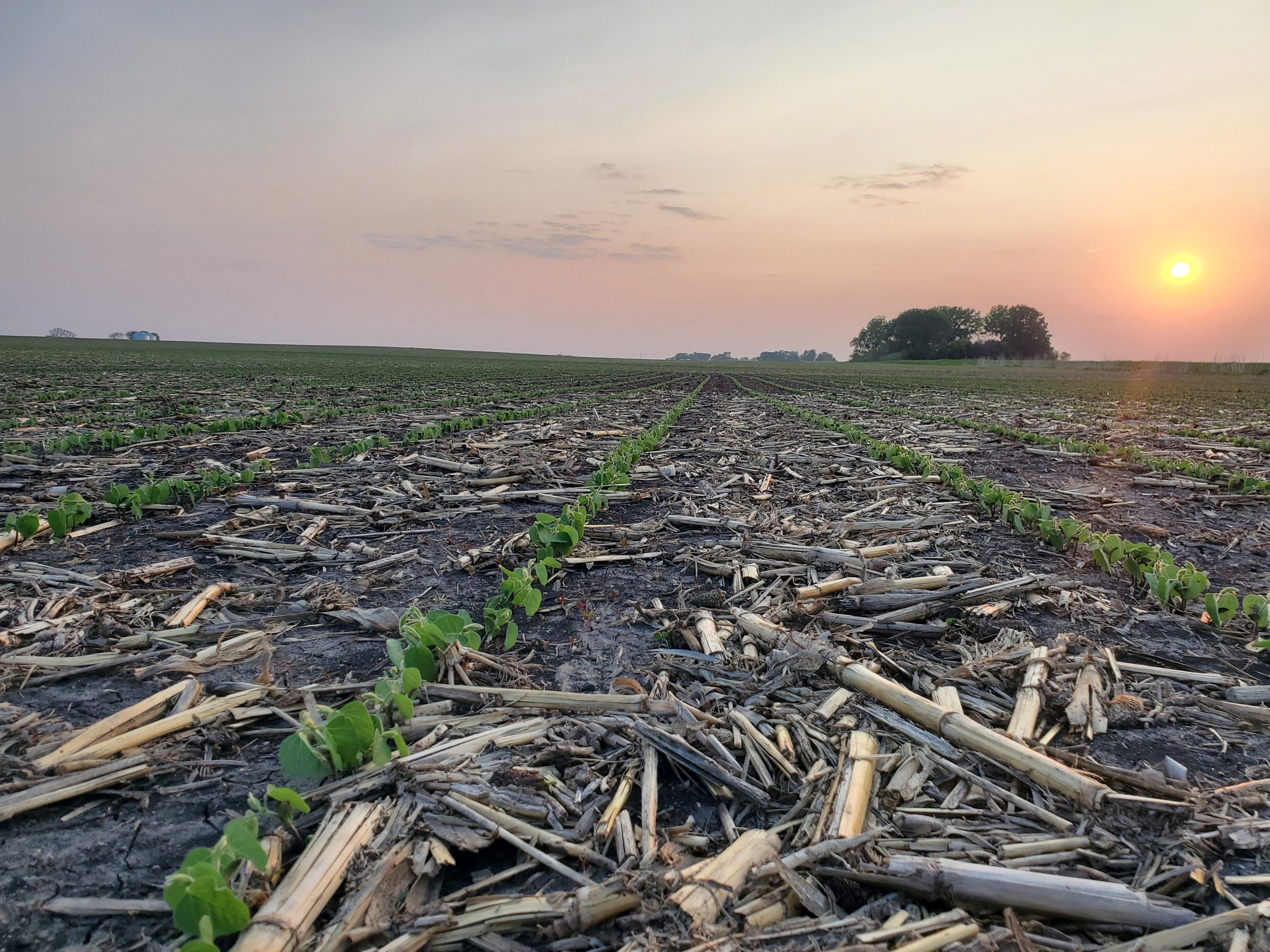 Pocahontas County, Iowa Farmland For Sale