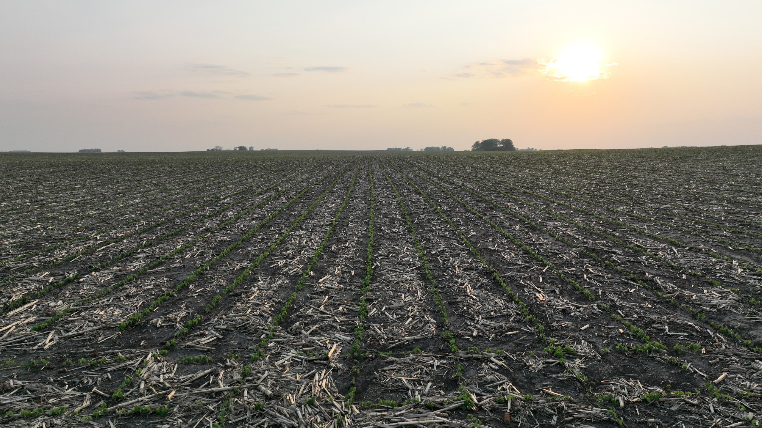 Pocahontas County, Iowa Farmland For Sale