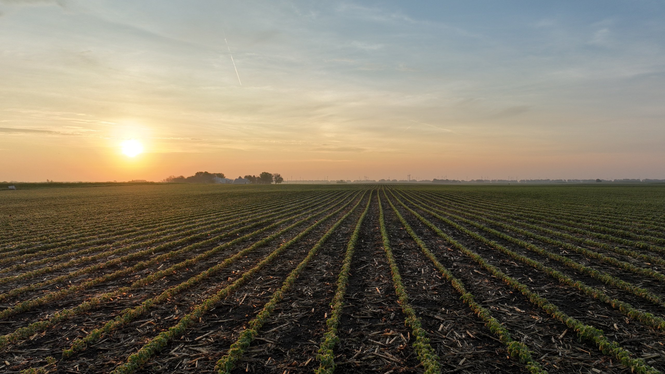 Pocahontas County, Iowa Farmland For Sale