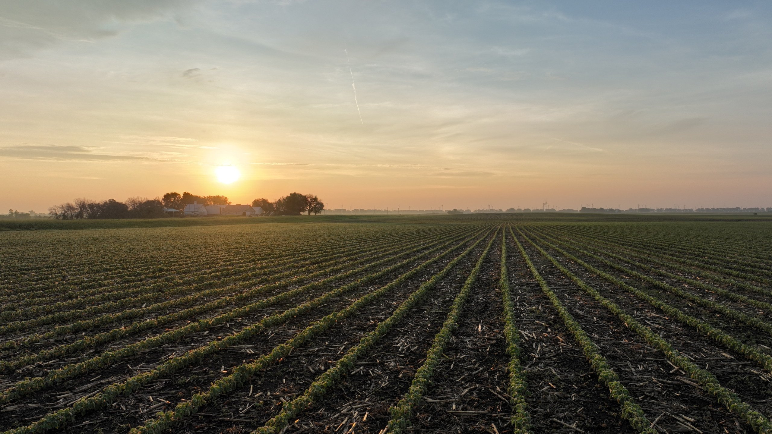 Pocahontas County, Iowa Farmland For Sale