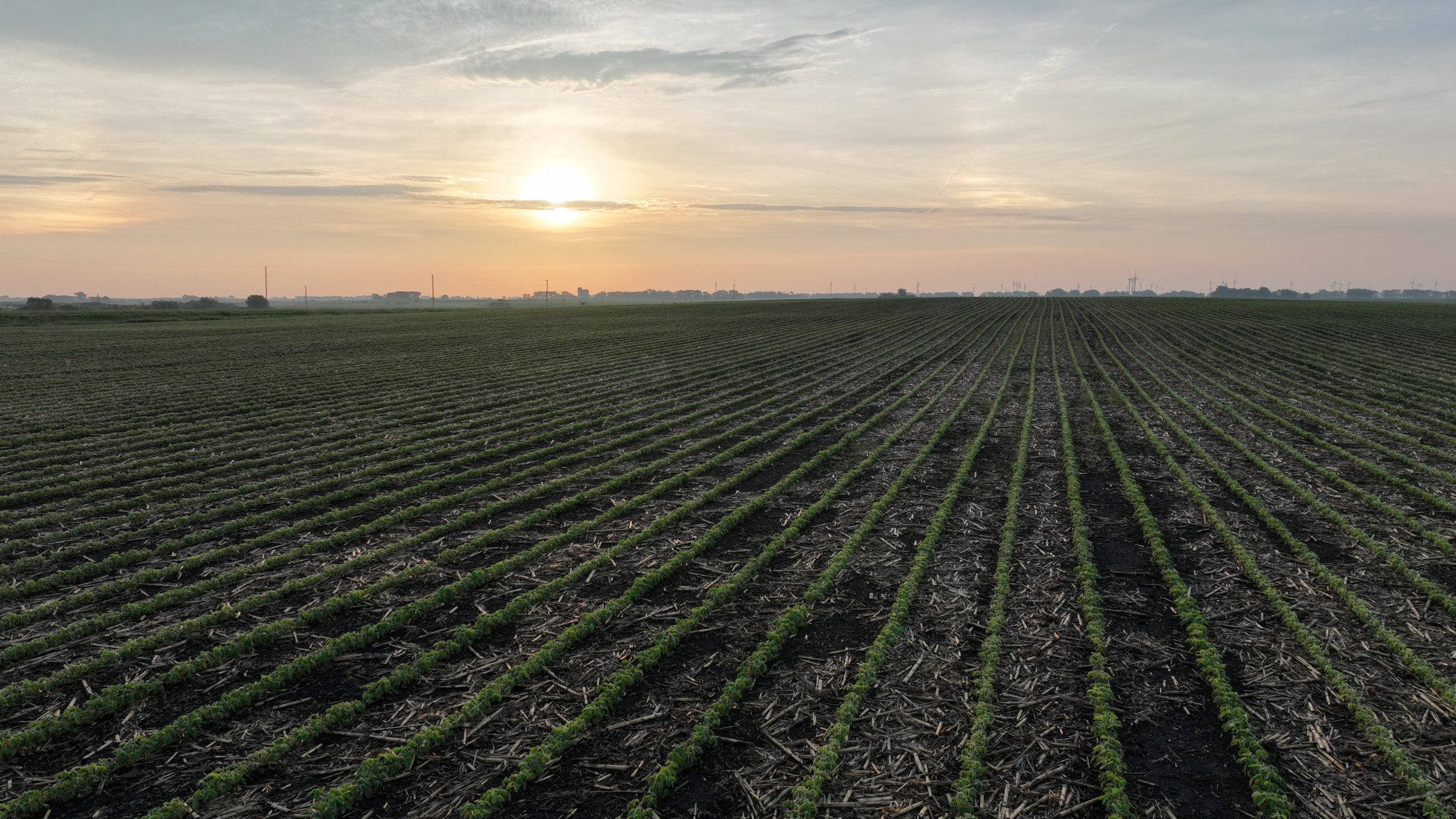 Pocahontas County, Iowa Farmland For Sale