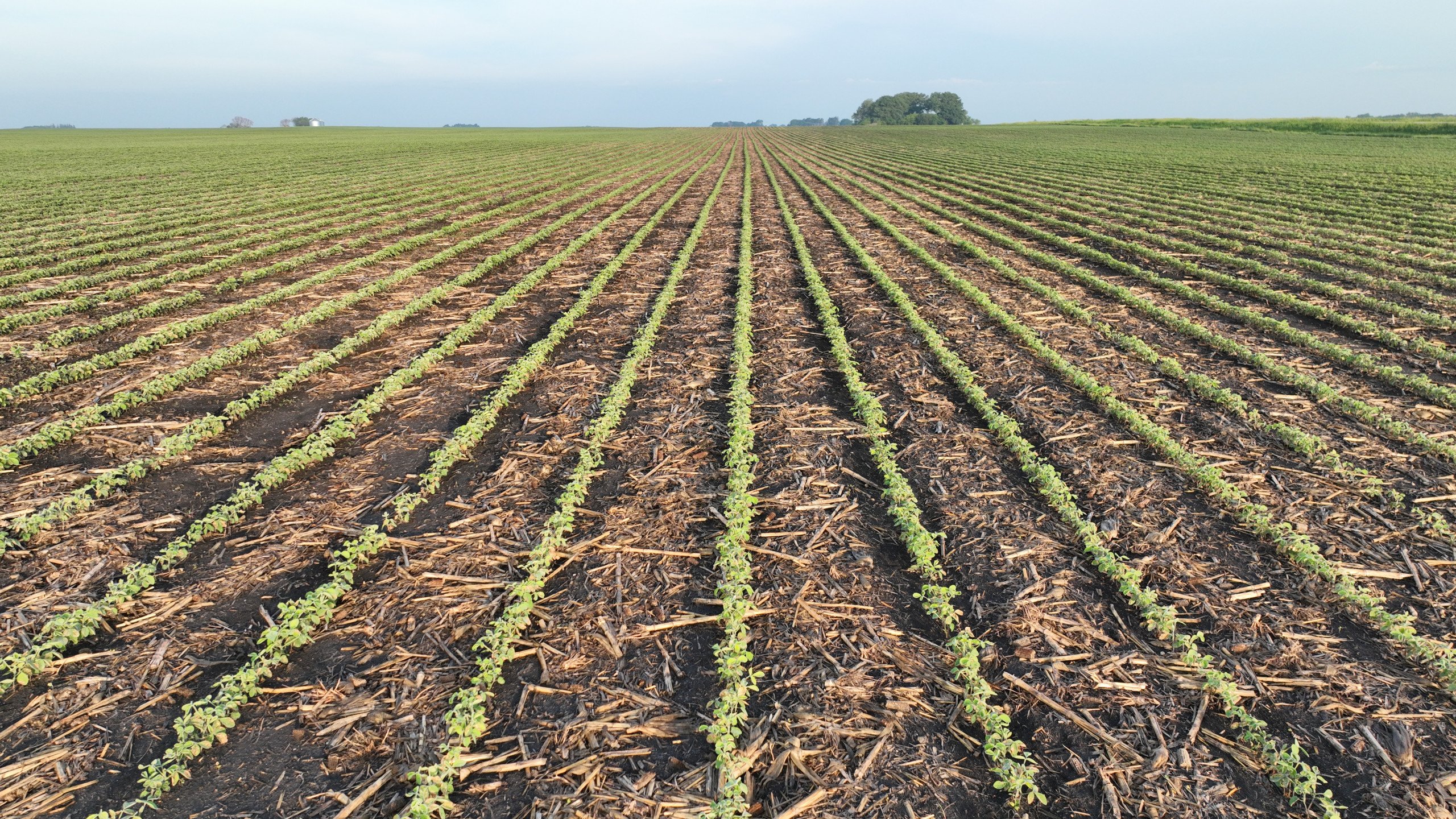 Pocahontas County, Iowa Farmland For Sale