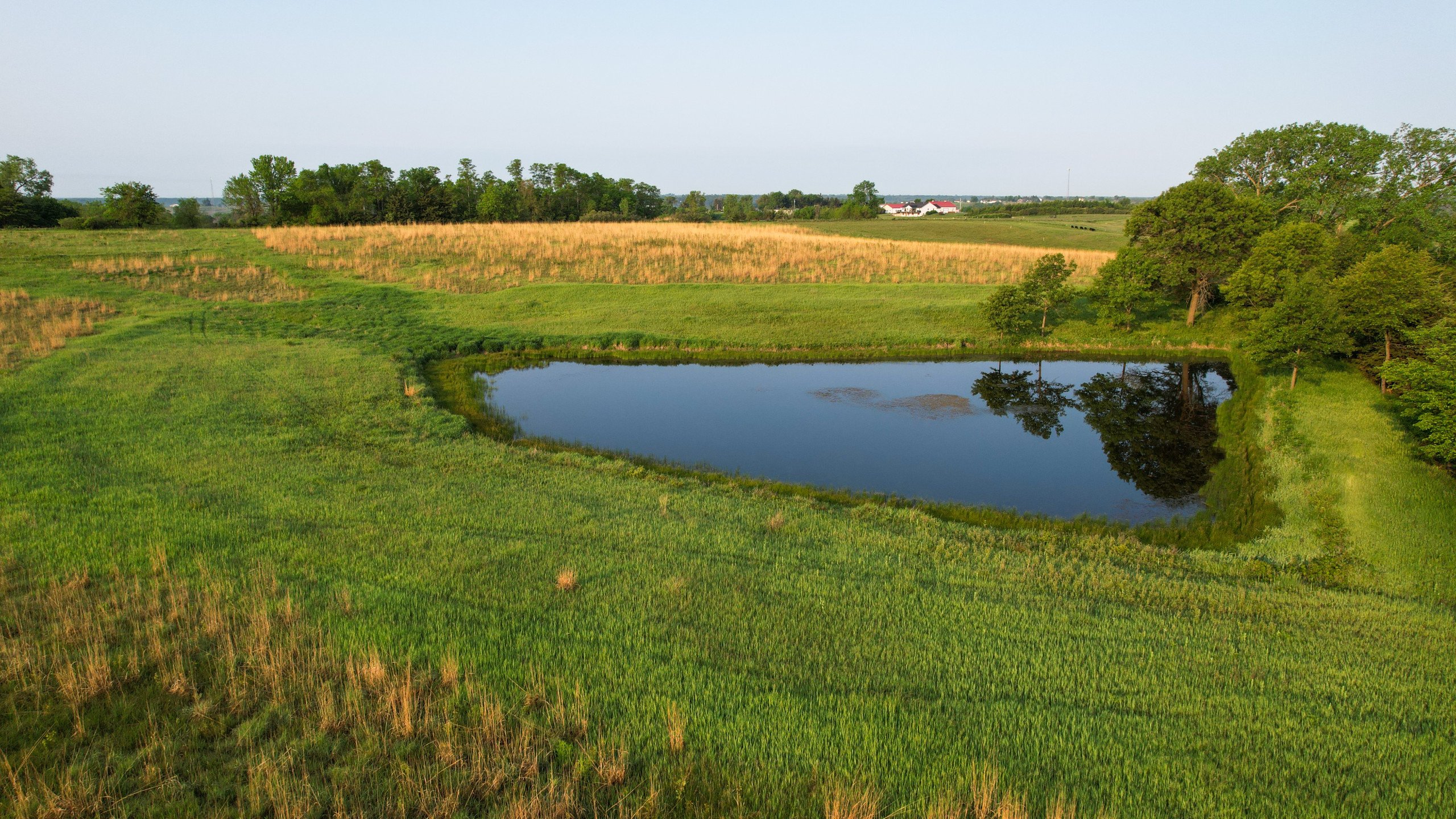 land-warren-county-iowa-40-acres-listing-number-16866-DJI_0861-3.jpg