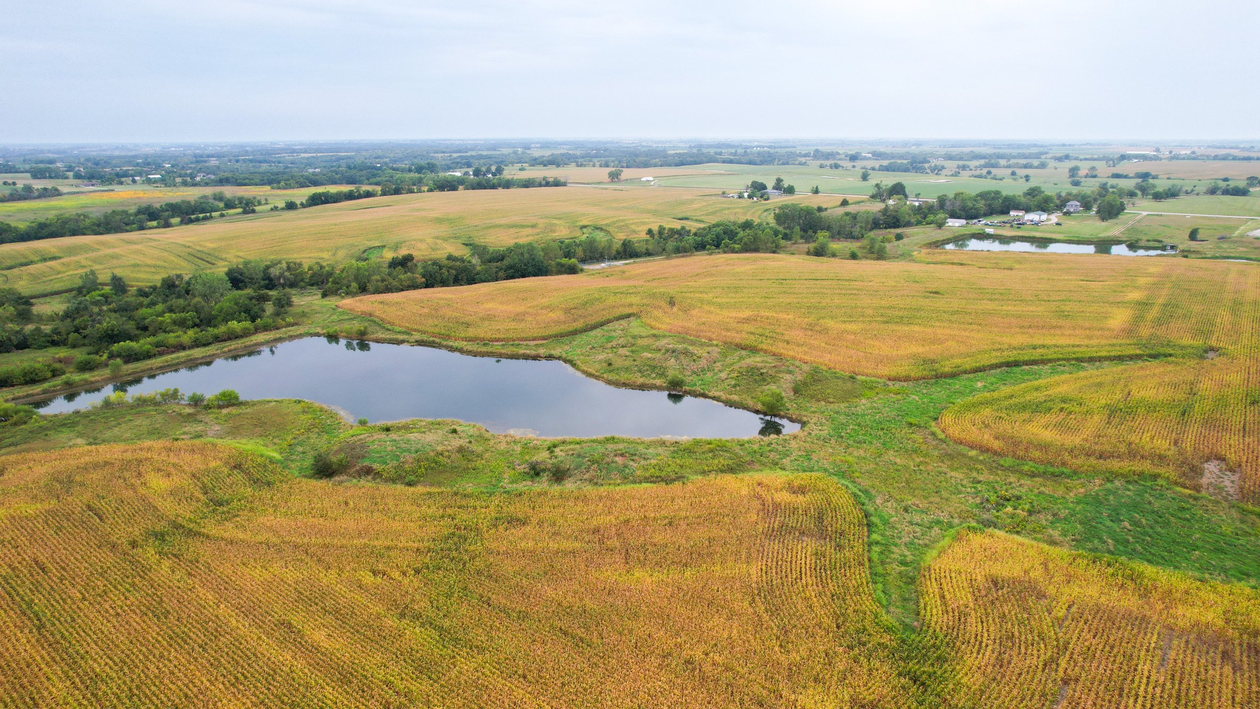 land-appanoose-county-iowa-97-acres-listing-number-16880-DJI_0259-2.jpg