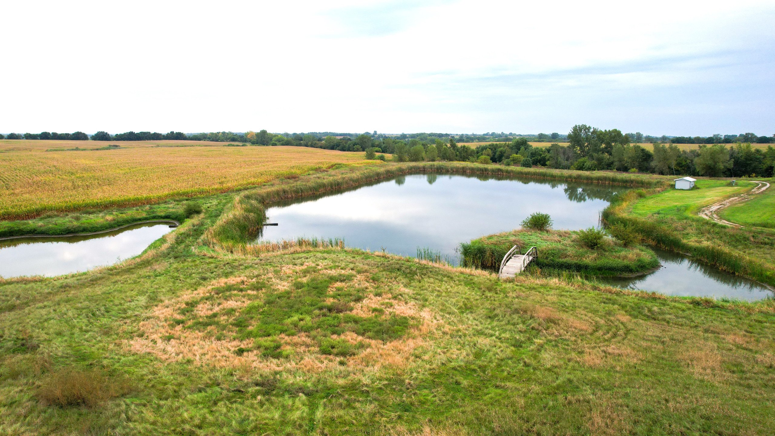 land-appanoose-county-iowa-97-acres-listing-number-16880-DJI_0264-0.jpg