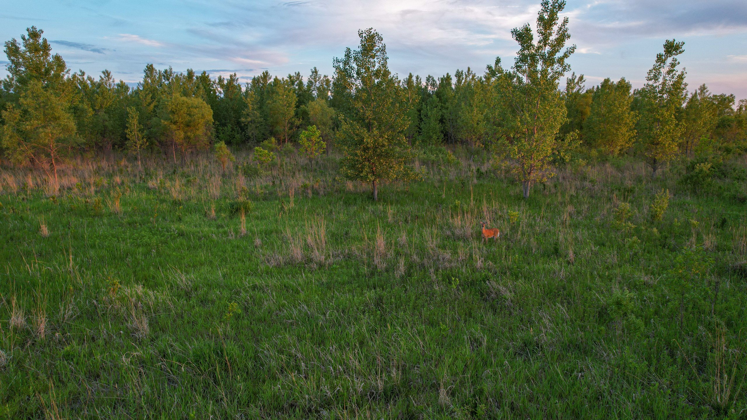 land-warren-county-iowa-56-acres-listing-number-16888-DJI_0907-0.jpg