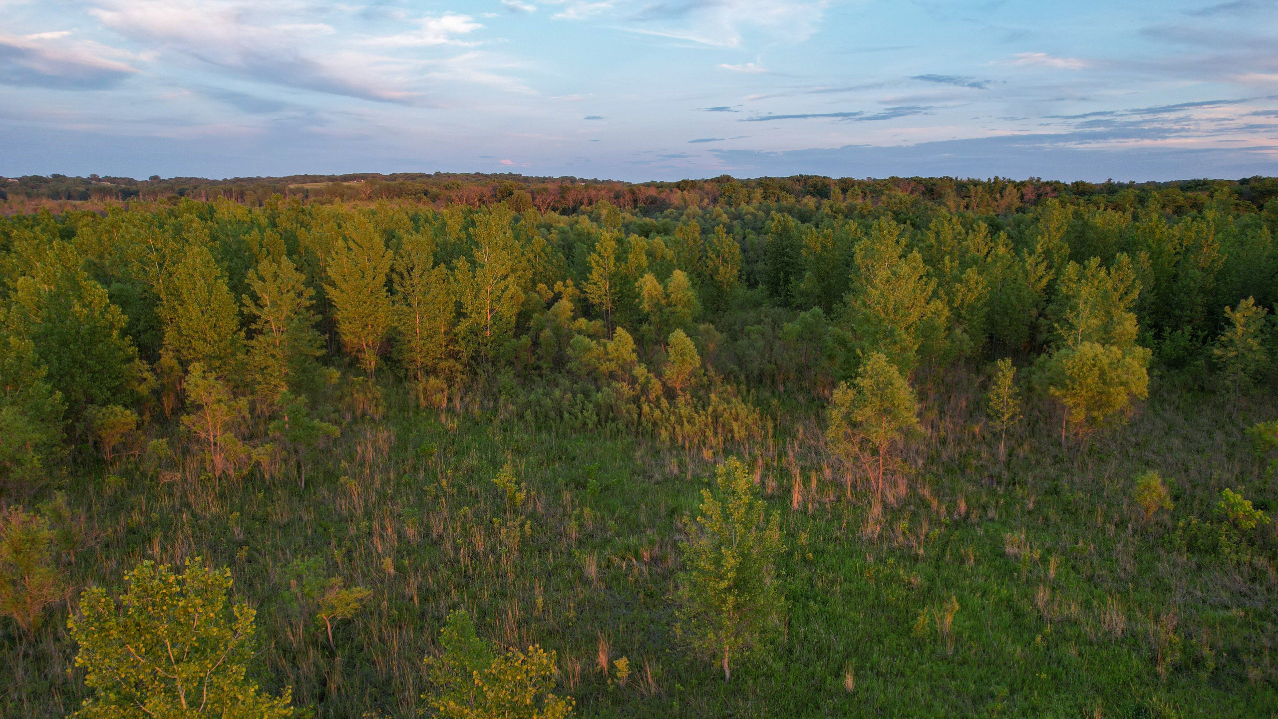 land-warren-county-iowa-56-acres-listing-number-16888-DJI_0909-1.jpg