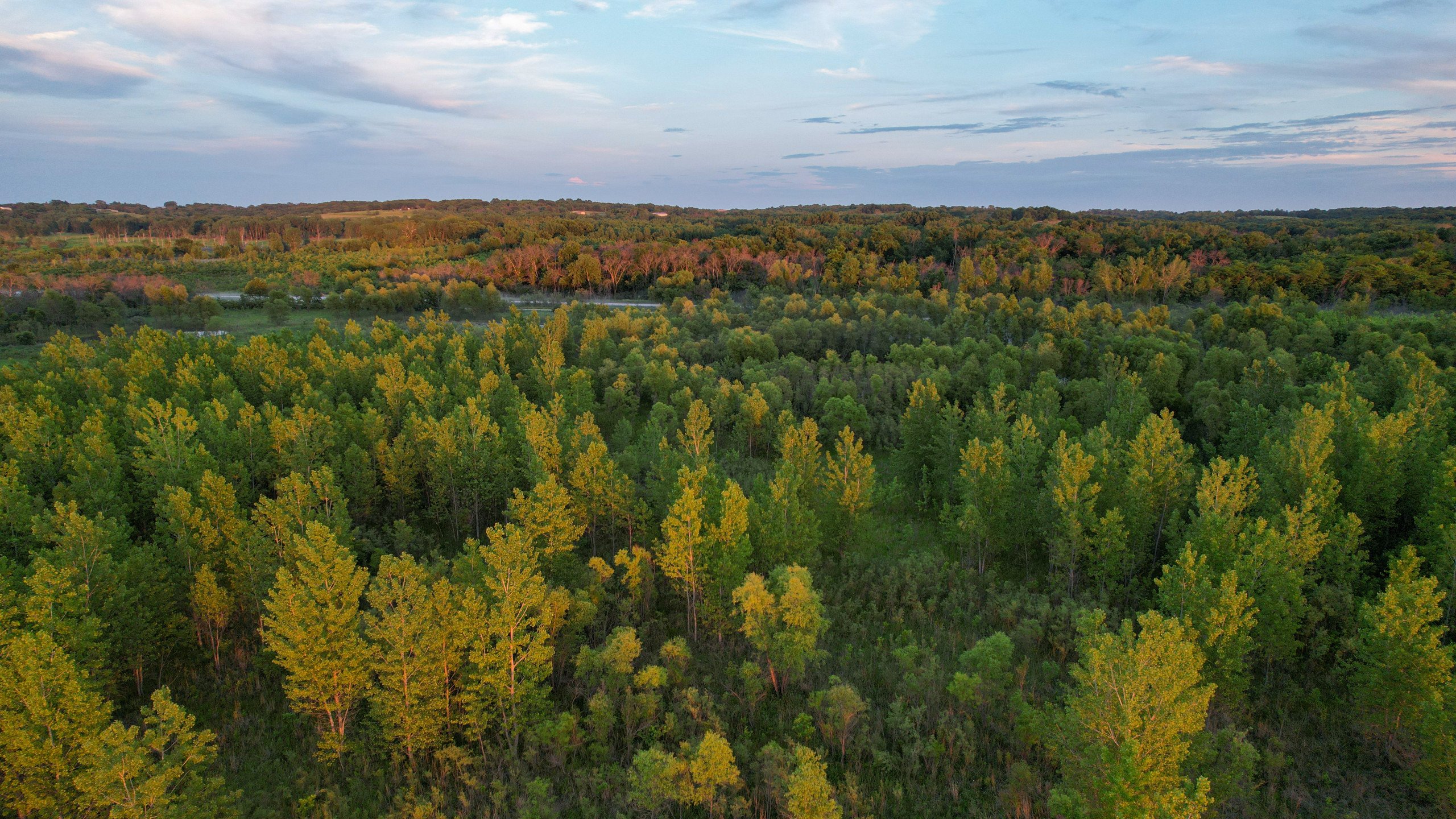 land-warren-county-iowa-56-acres-listing-number-16888-DJI_0910-2.jpg