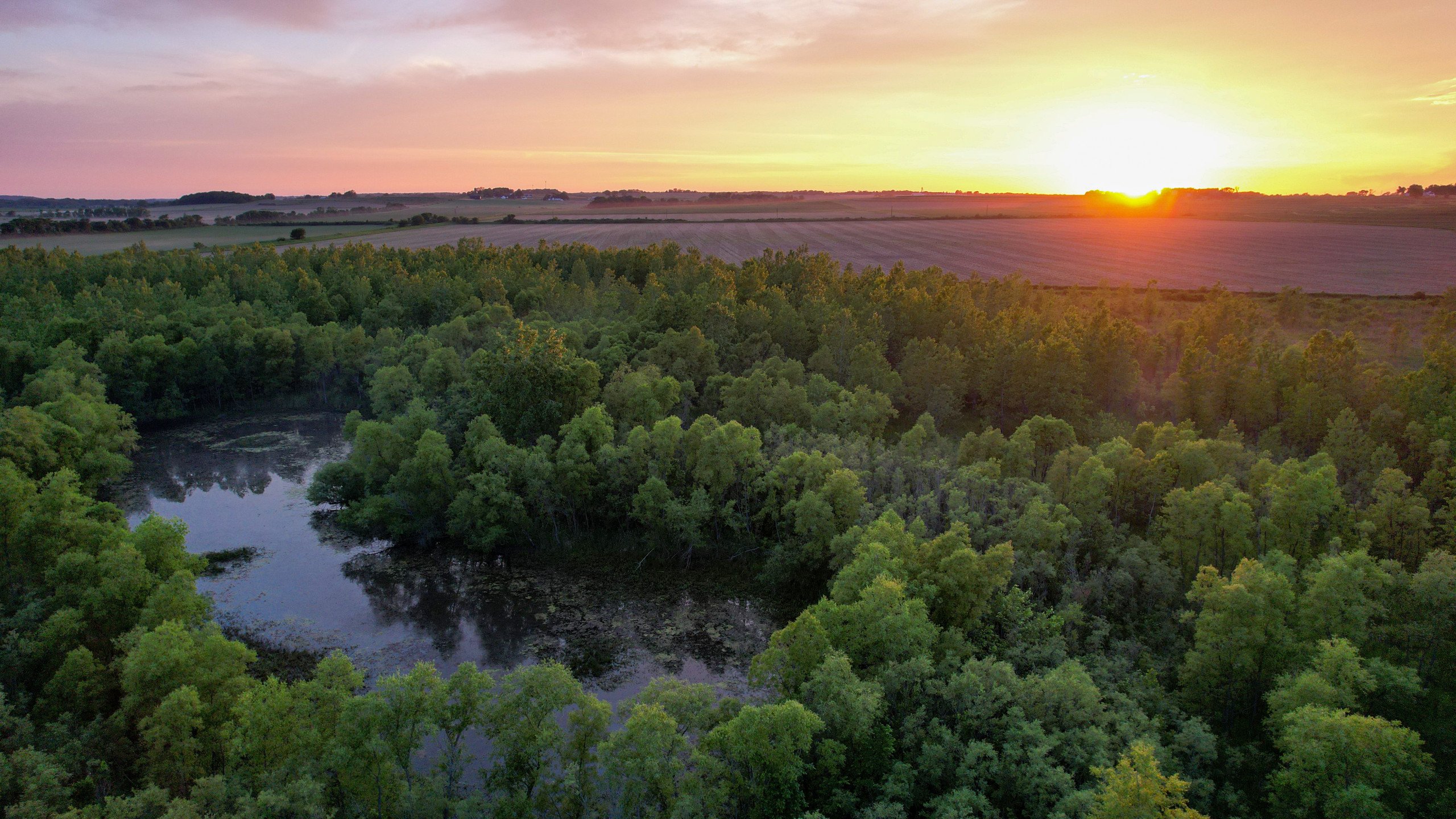 land-warren-county-iowa-56-acres-listing-number-16888-DJI_0931-3.jpg