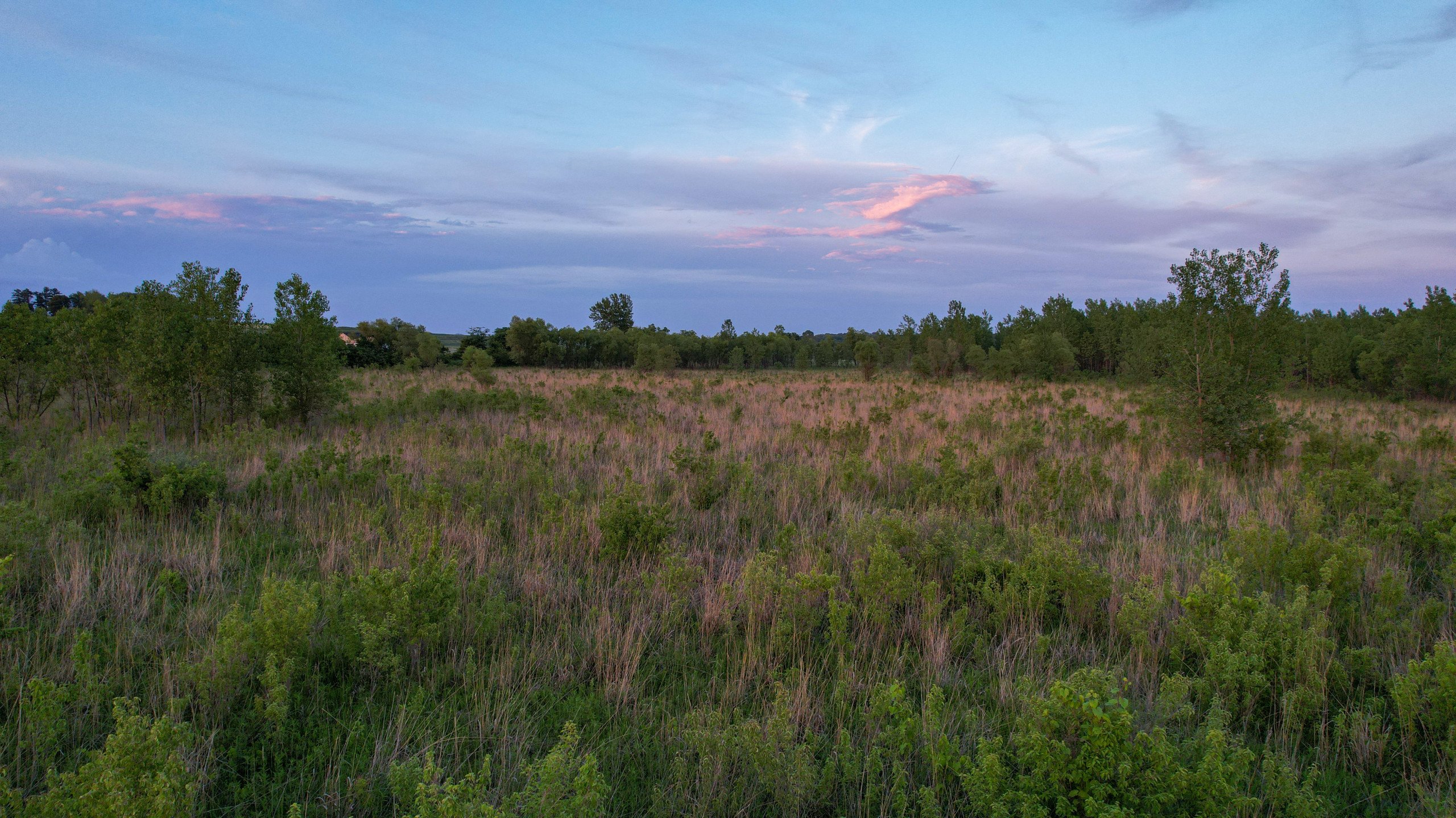 land-warren-county-iowa-56-acres-listing-number-16888-DJI_0936-6.jpg