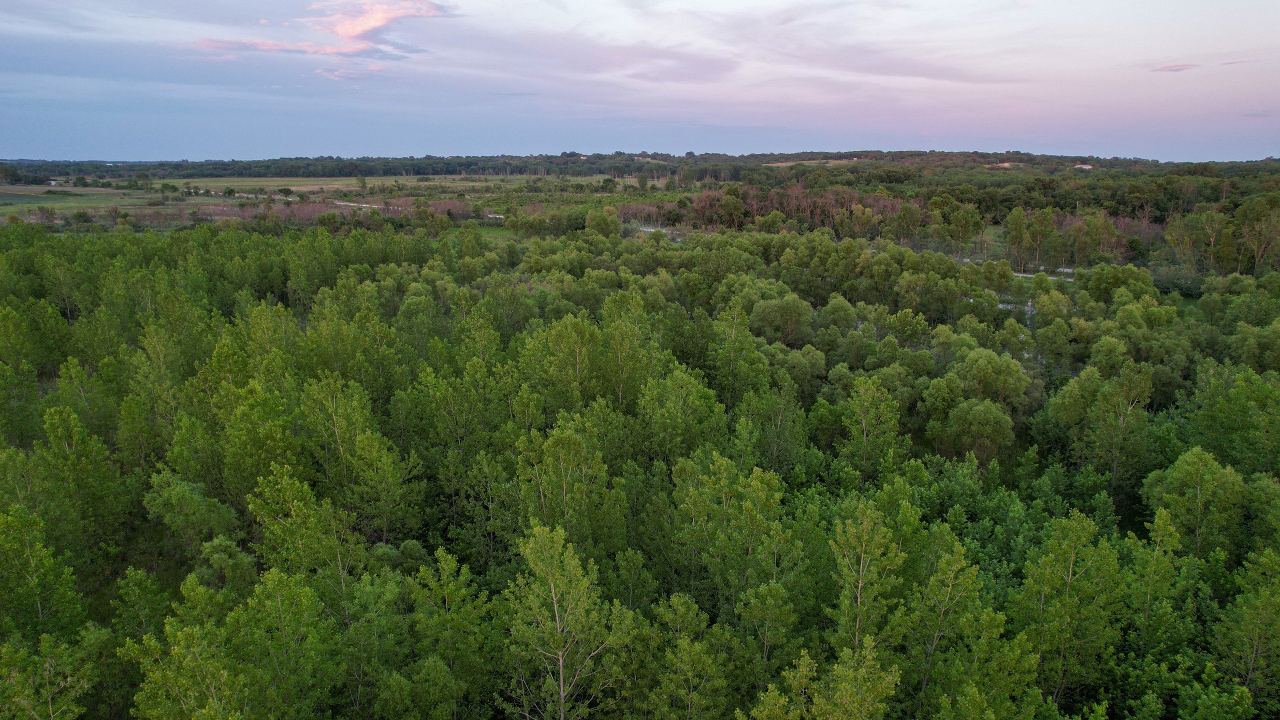 land-warren-county-iowa-56-acres-listing-number-16888-DJI_0941-3.jpg