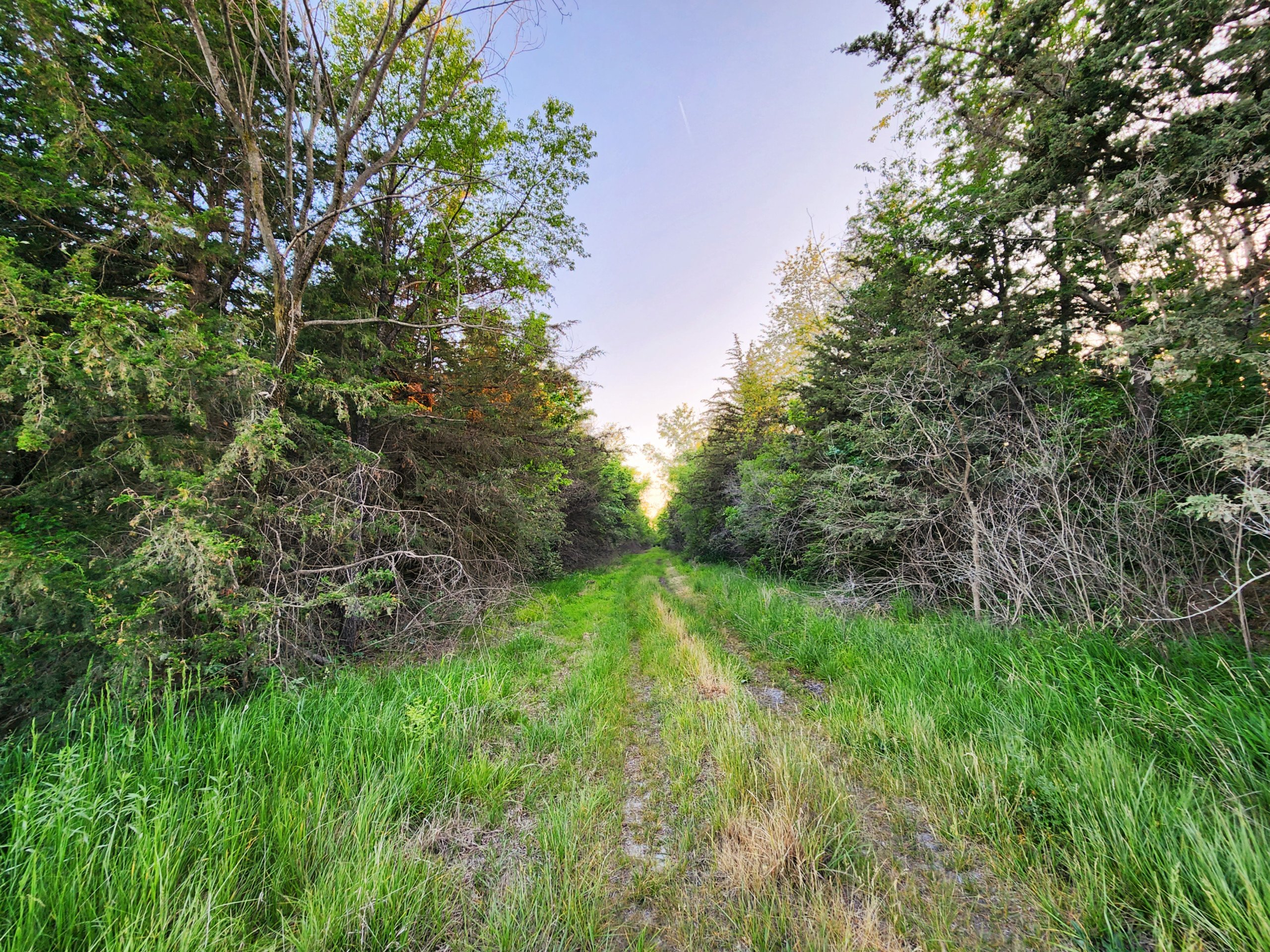 land-washington-county-iowa-34-acres-listing-number-16893-20230529_195643-7.jpg