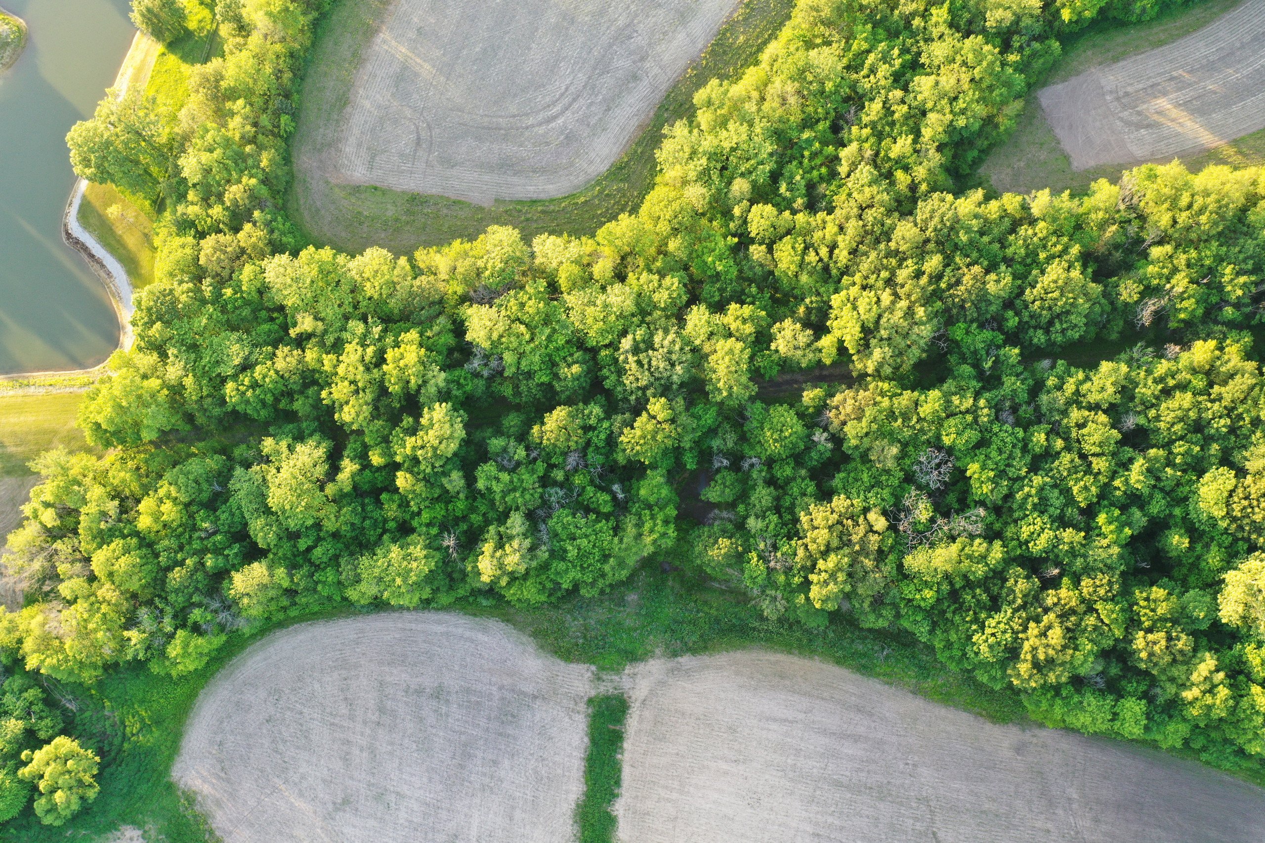 land-washington-county-iowa-34-acres-listing-number-16893-DJI_0562 (2)-3.jpg