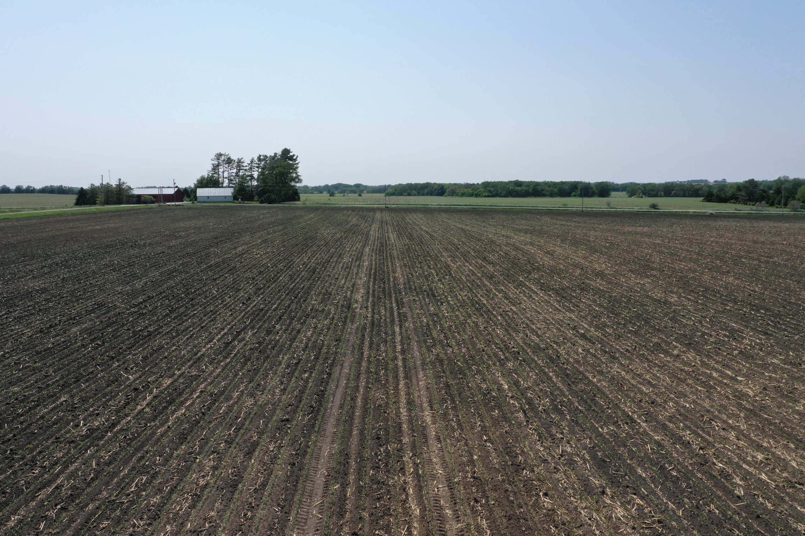 land-buchanan-county-iowa-86-acres-listing-number-16895-DJI_0410-0.jpg