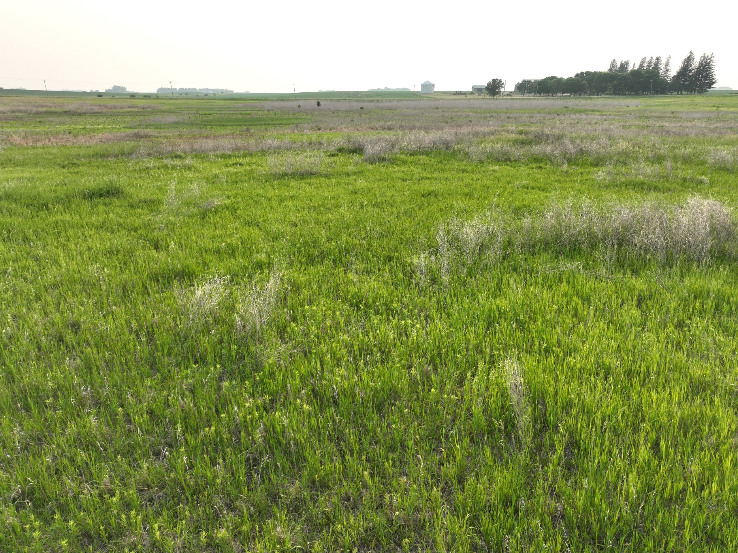 land-wright-county-iowa-39-acres-listing-number-16897-5-1.jpg