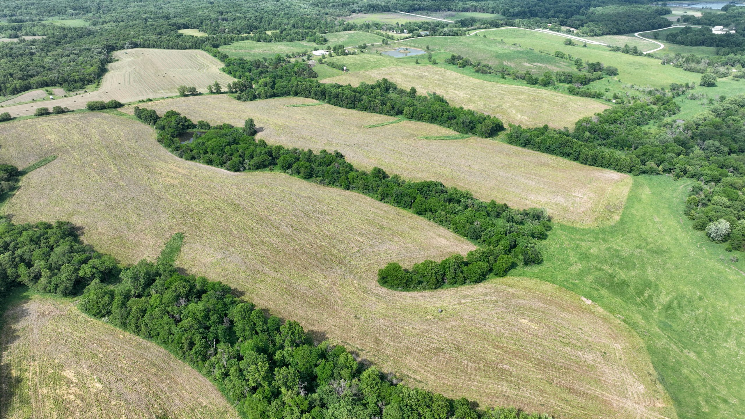 land-lucas-county-iowa-159-acres-listing-number-16907-DJI_0651-2.jpg