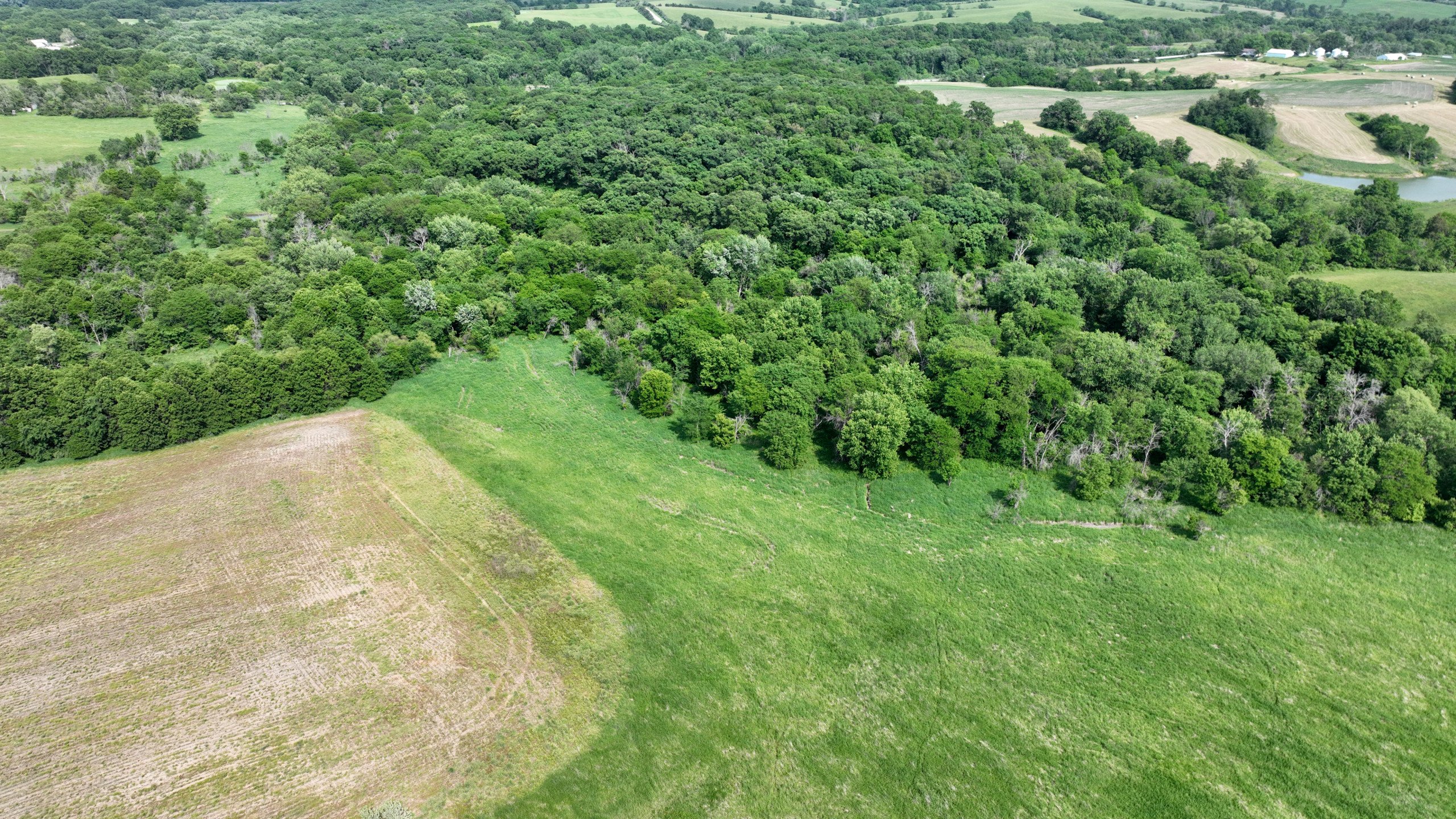 land-lucas-county-iowa-159-acres-listing-number-16907-DJI_0660-4.jpg