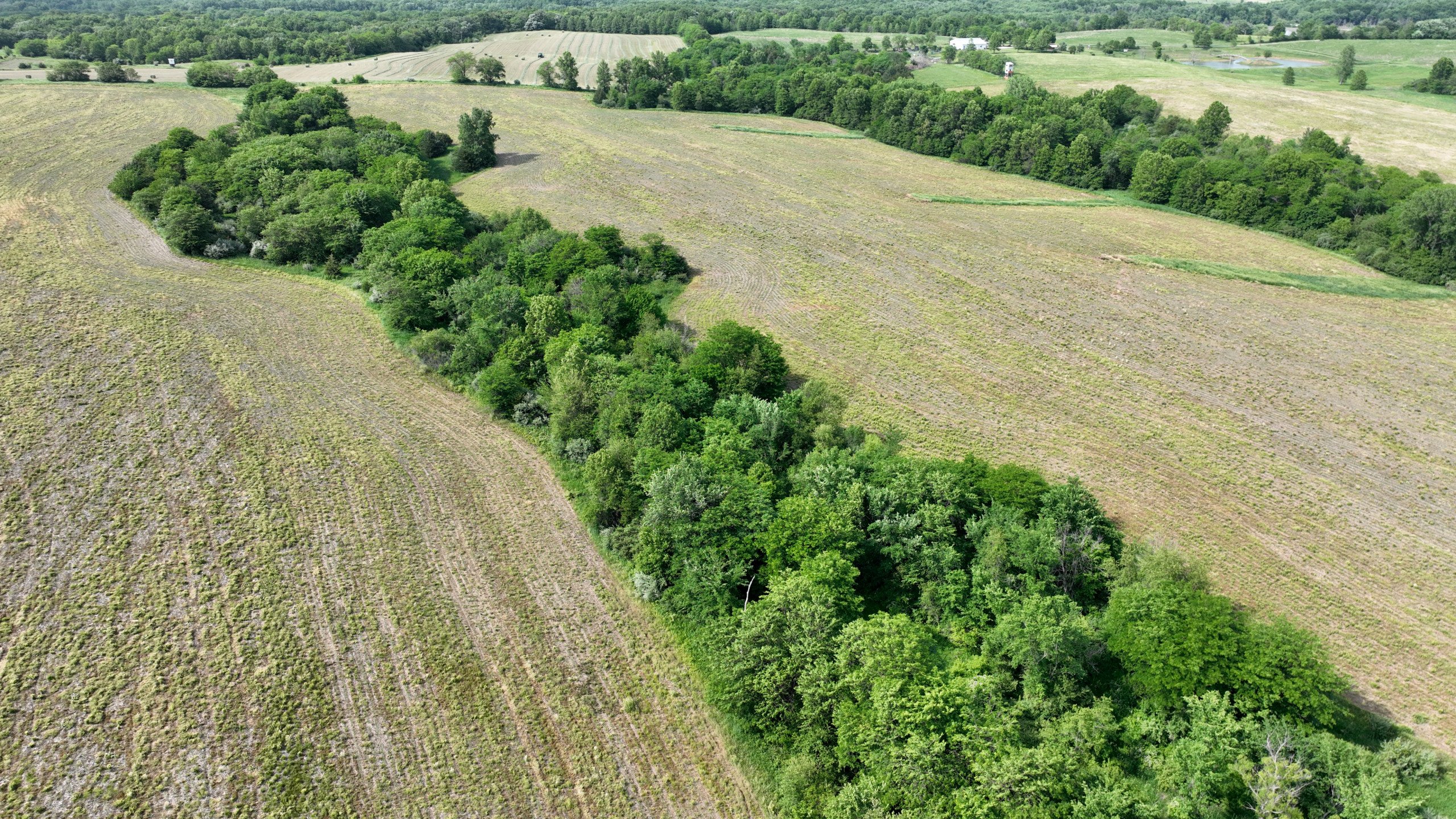 land-lucas-county-iowa-159-acres-listing-number-16907-DJI_0661-0.jpg