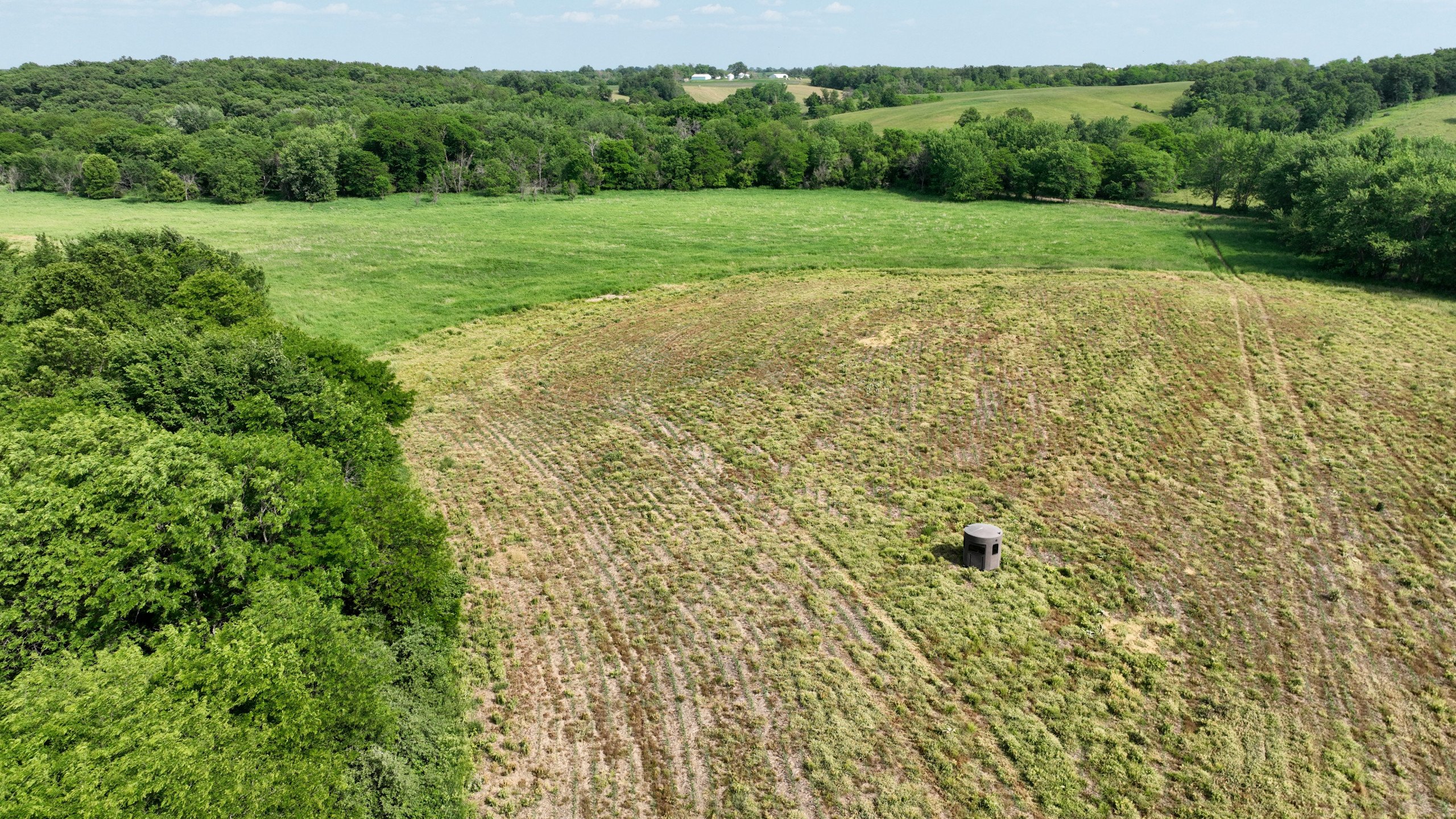 land-lucas-county-iowa-159-acres-listing-number-16907-DJI_0664-2.jpg