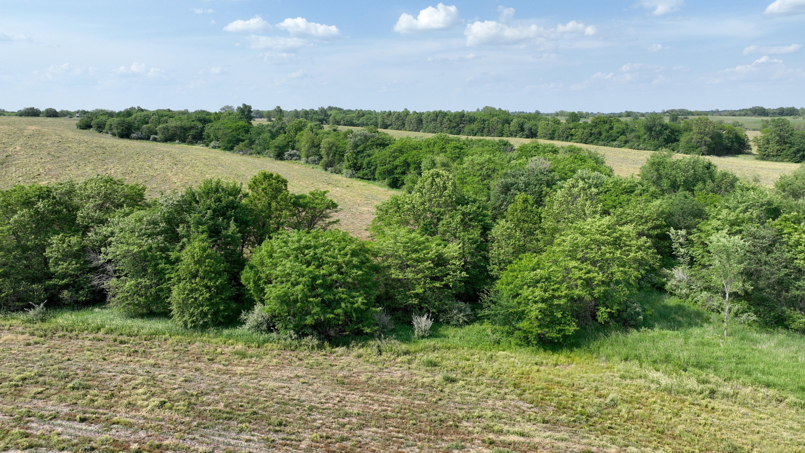 land-lucas-county-iowa-159-acres-listing-number-16907-DJI_0666-3.jpg