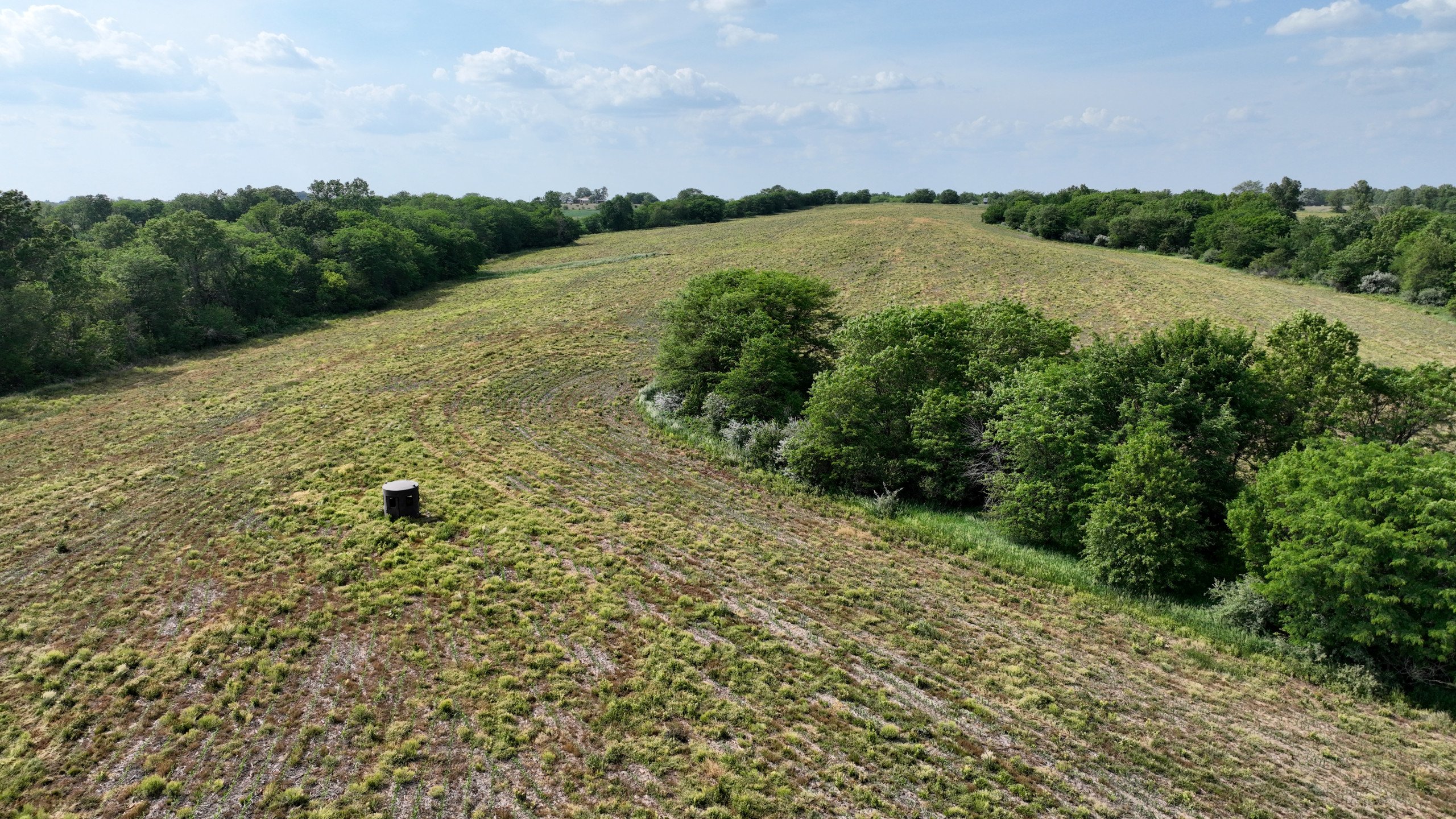 land-lucas-county-iowa-159-acres-listing-number-16907-DJI_0667-4.jpg