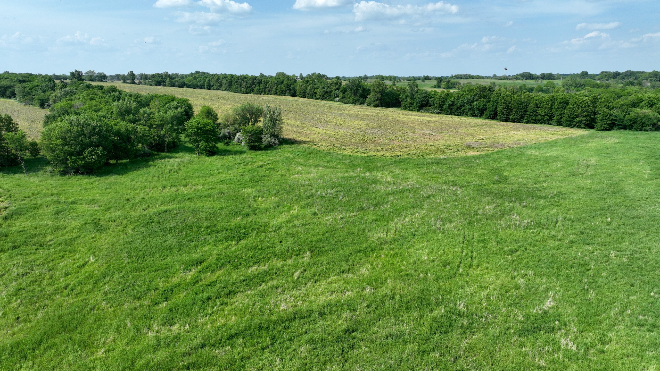 land-lucas-county-iowa-159-acres-listing-number-16907-DJI_0669-0.jpg