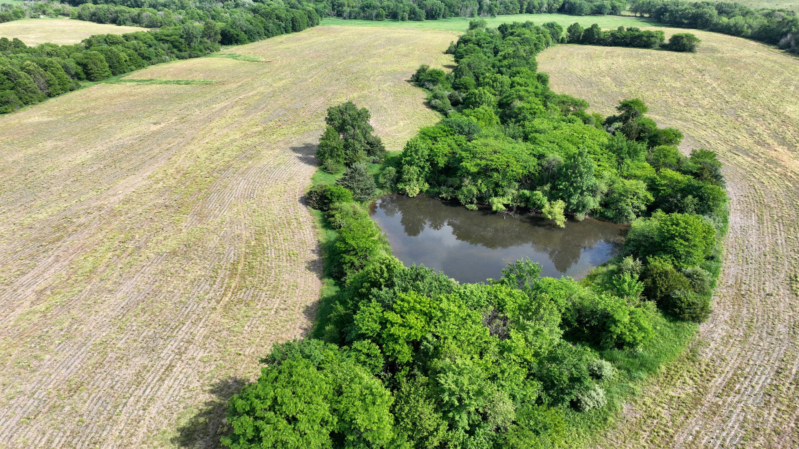 land-lucas-county-iowa-159-acres-listing-number-16907-DJI_0674-1.jpg