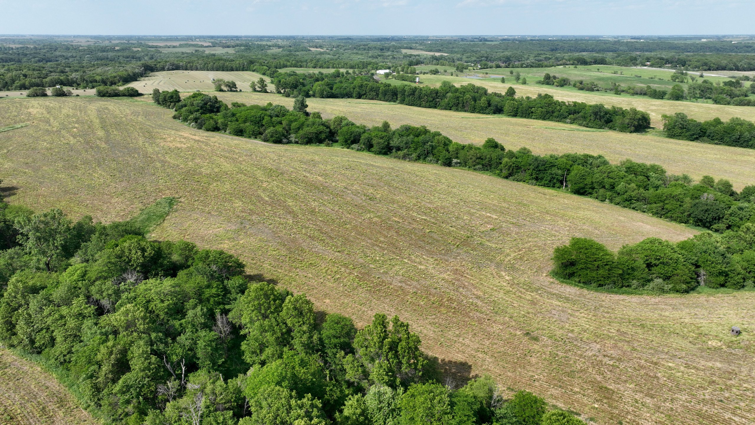 land-lucas-county-iowa-159-acres-listing-number-16907-DJI_0684-4.jpg