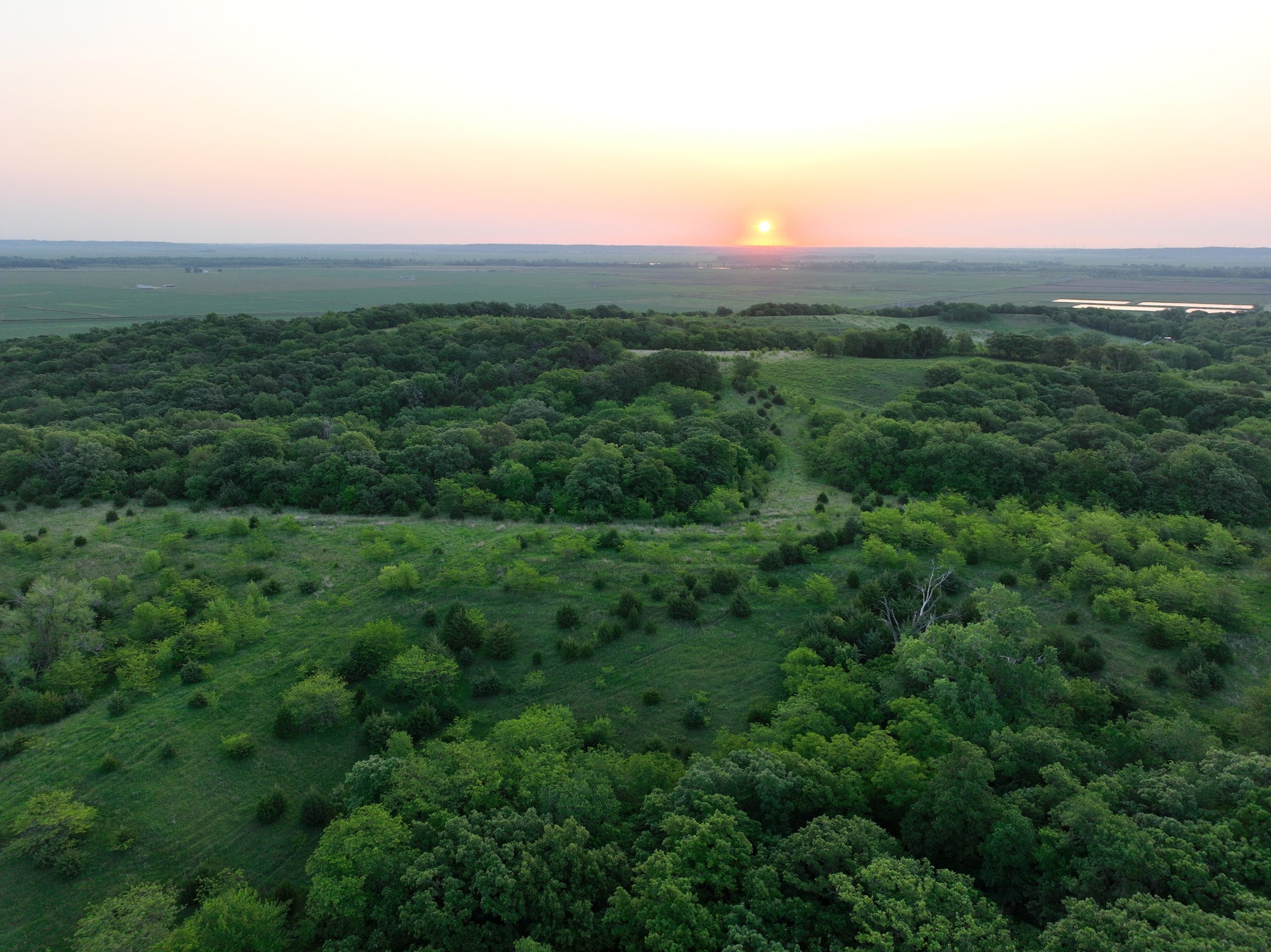 nemaha-county-nebraska-0-acres-listing-number-16917-DJI_0805-1-1.jpg