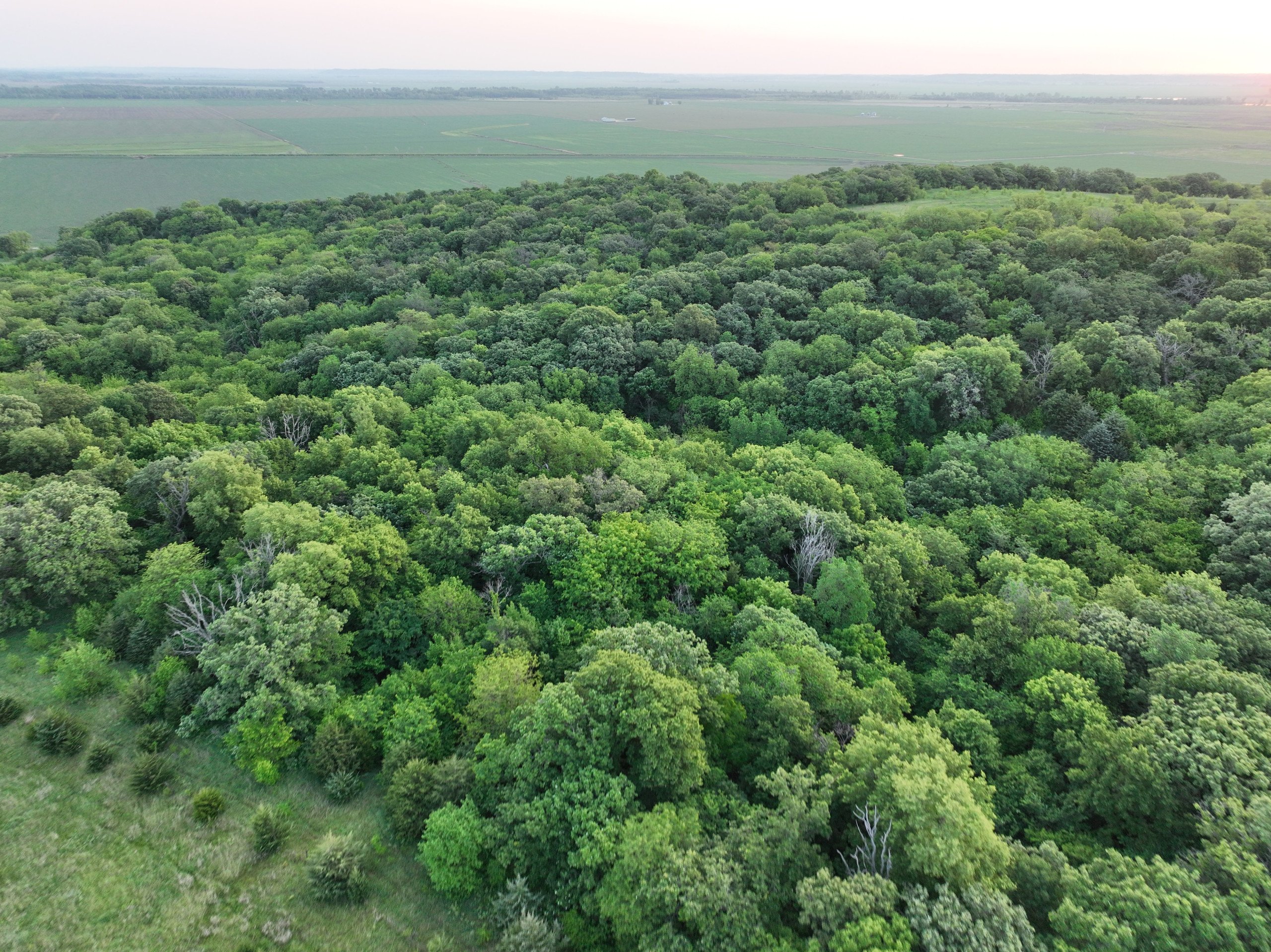 nemaha-county-nebraska-0-acres-listing-number-16917-DJI_0808-1-0.jpg