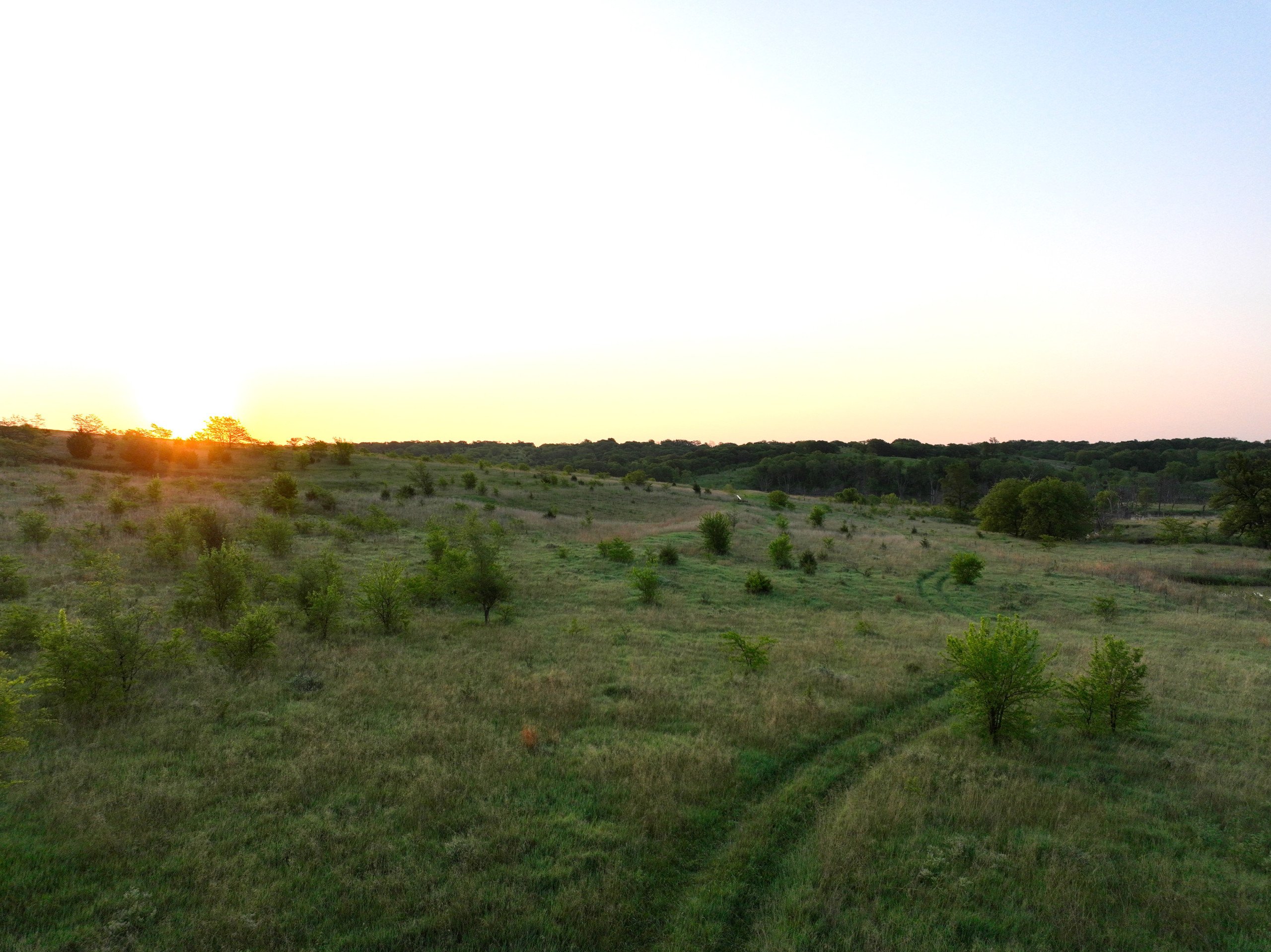 nemaha-county-nebraska-0-acres-listing-number-16917-DJI_0853-1-0.jpg