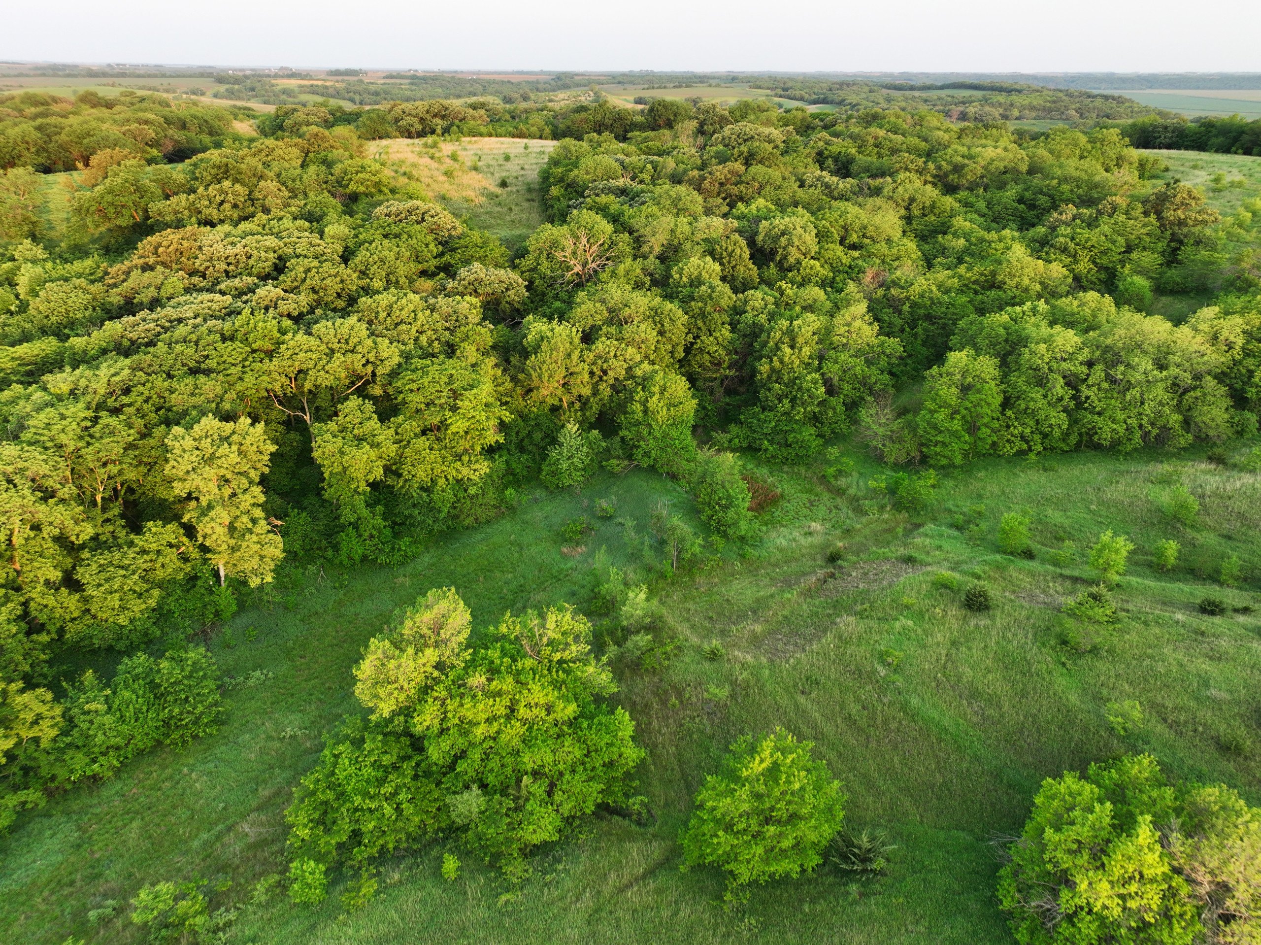 nemaha-county-nebraska-0-acres-listing-number-16917-DJI_0867-1-0.jpg