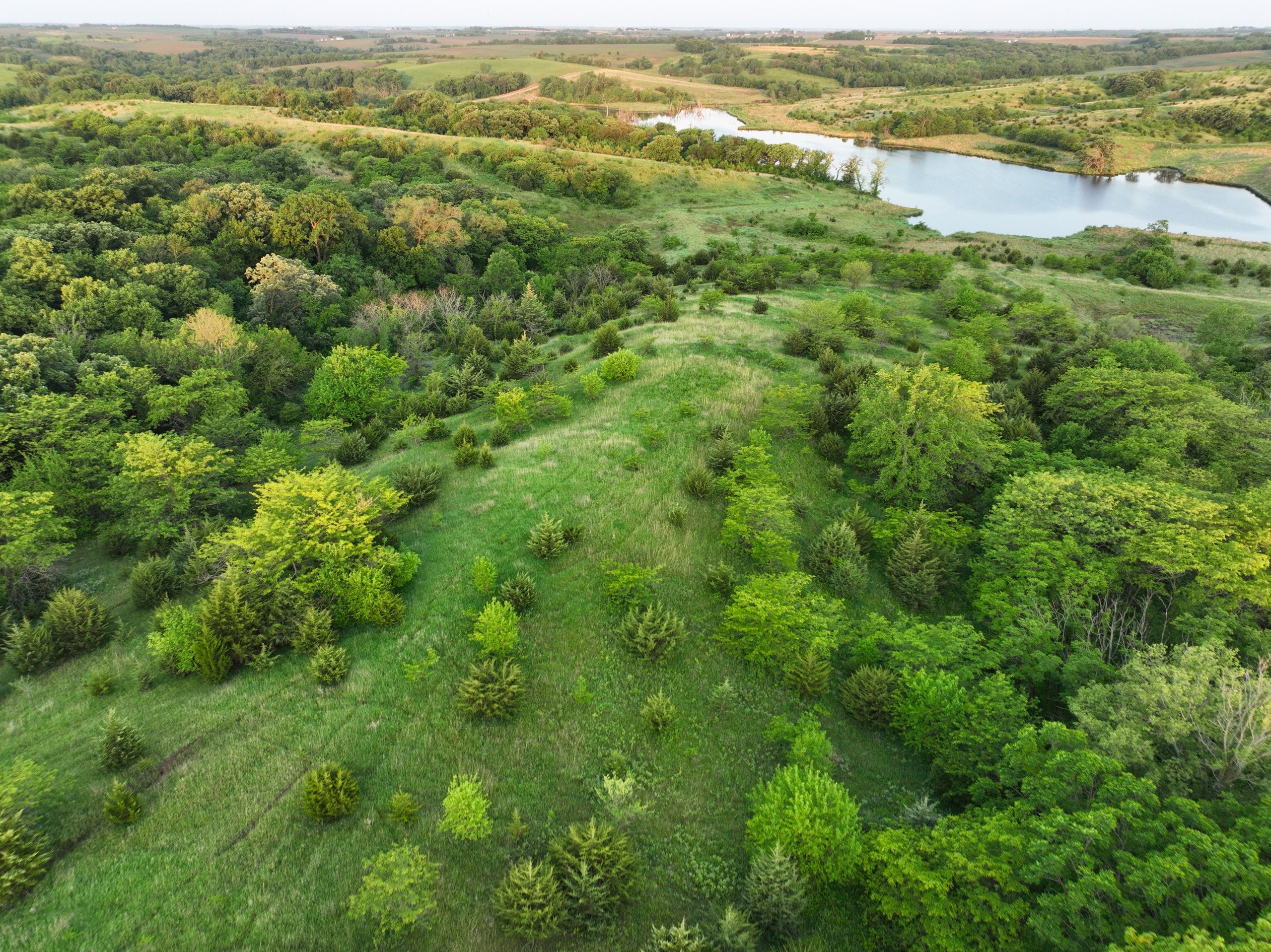 nemaha-county-nebraska-0-acres-listing-number-16917-DJI_0875-1-0.jpg