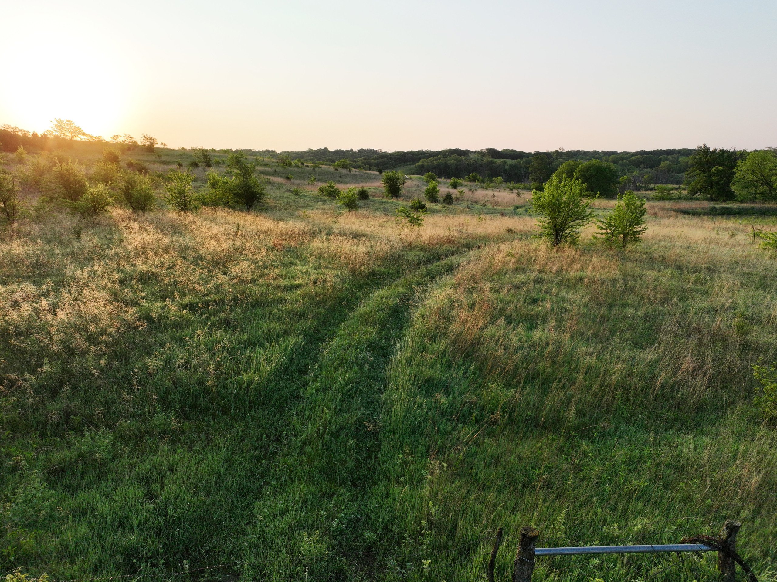 nemaha-county-nebraska-0-acres-listing-number-16917-DJI_0896-1-0.jpg