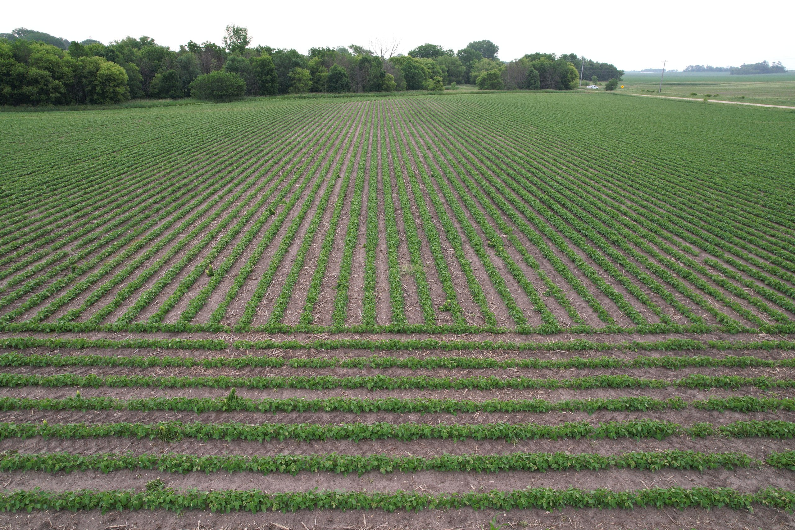 land-delaware-county-iowa-17-acres-listing-number-16920-DJI_0666-4.jpg