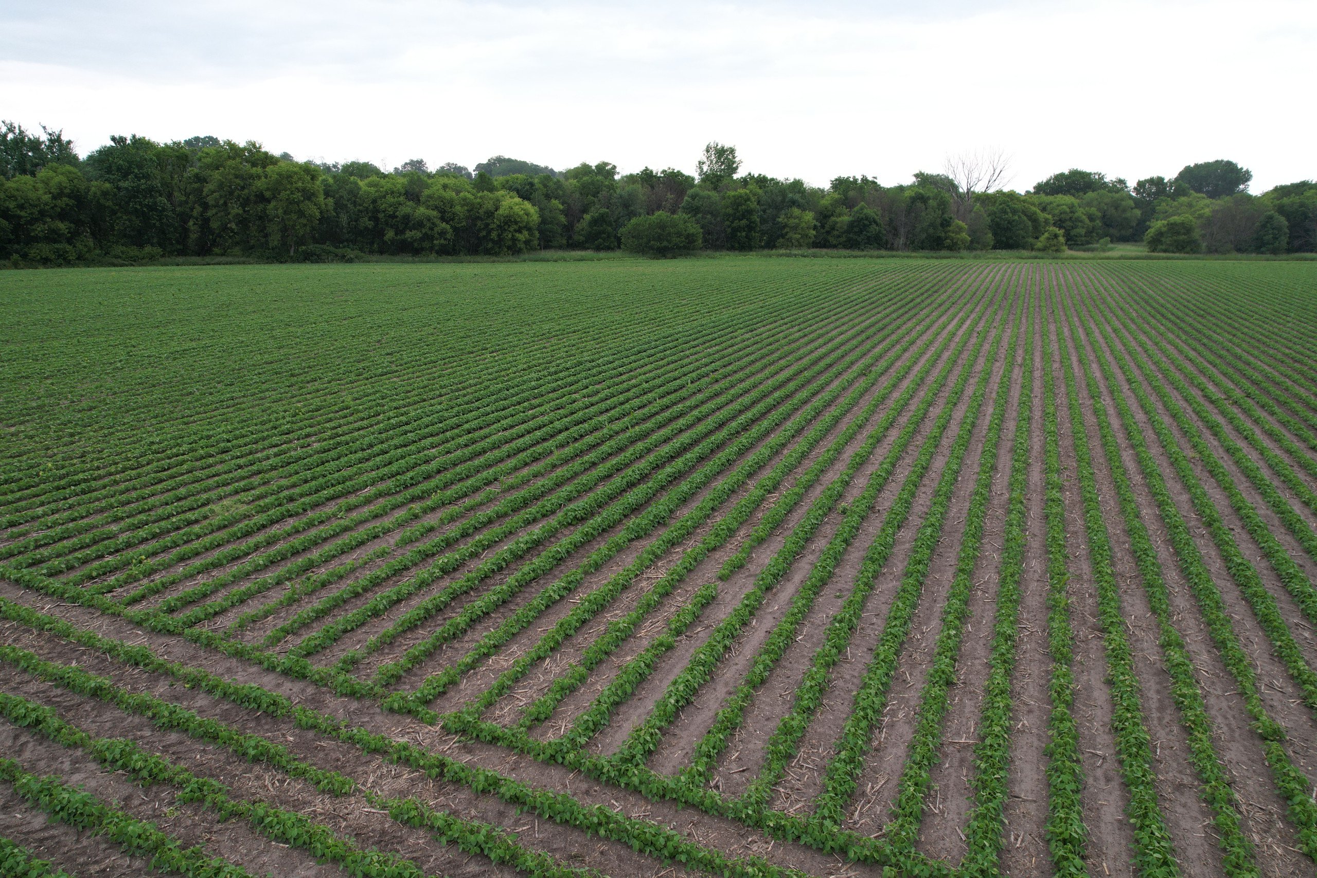 land-delaware-county-iowa-17-acres-listing-number-16920-DJI_0667-5.jpg