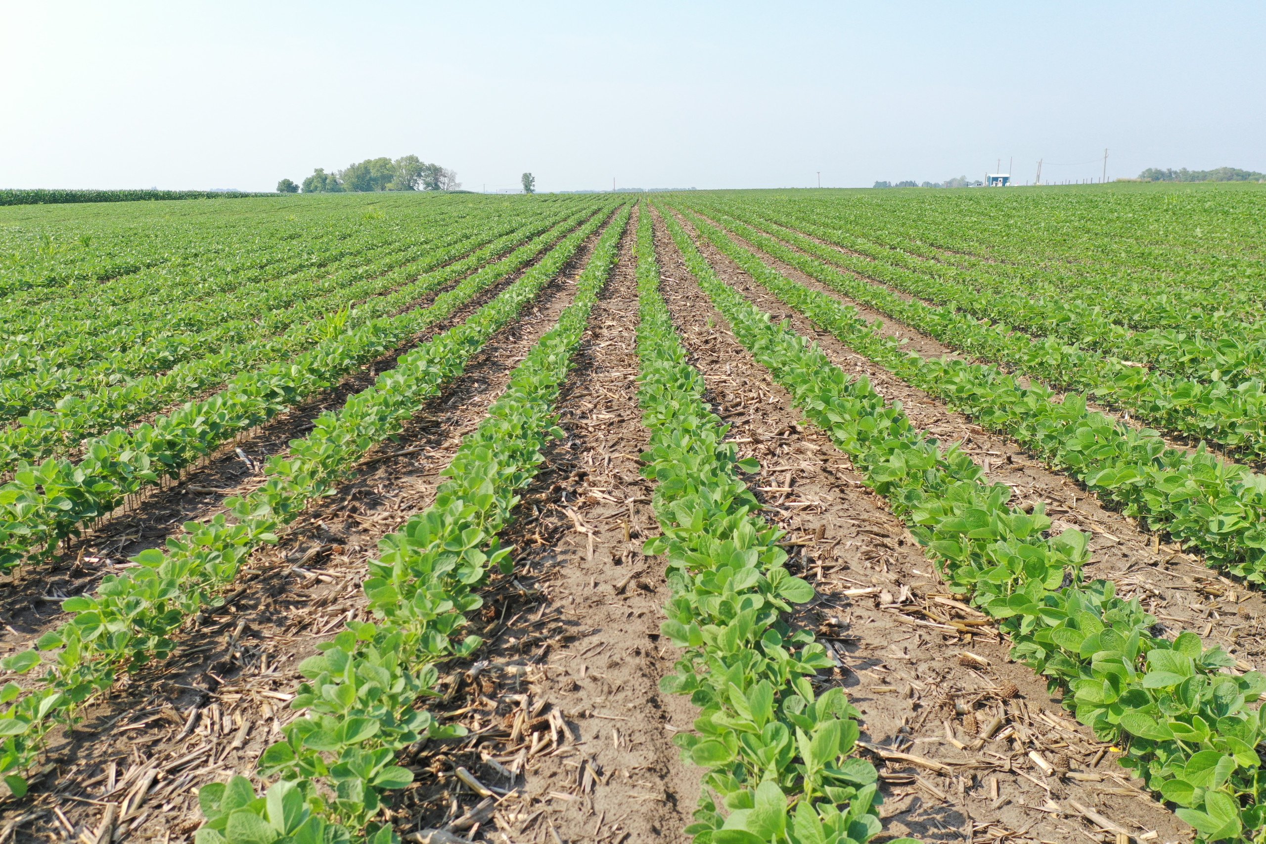 Dallas County, Iowa Farmland Available