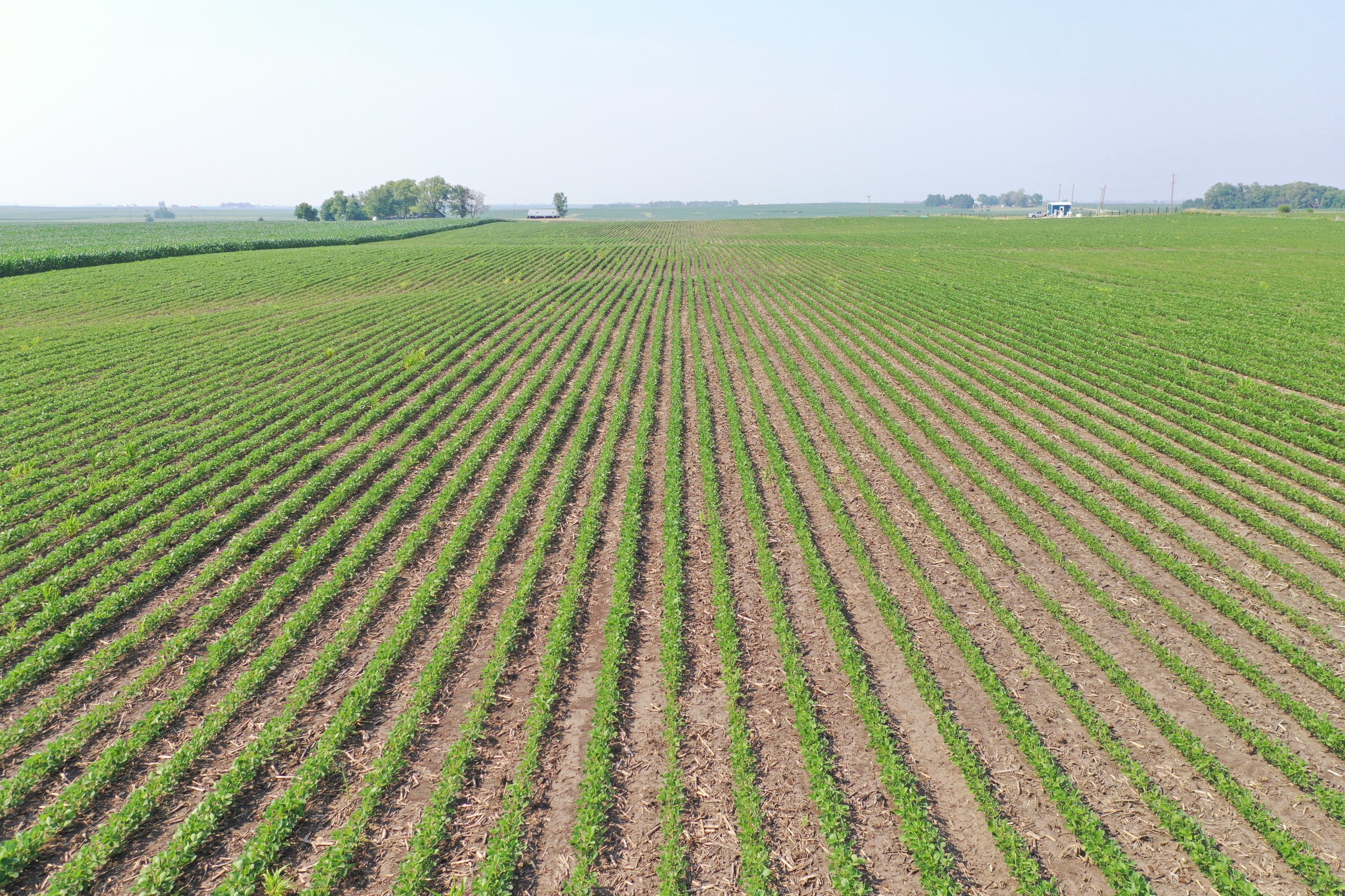 Dallas County, Iowa Farmland Available