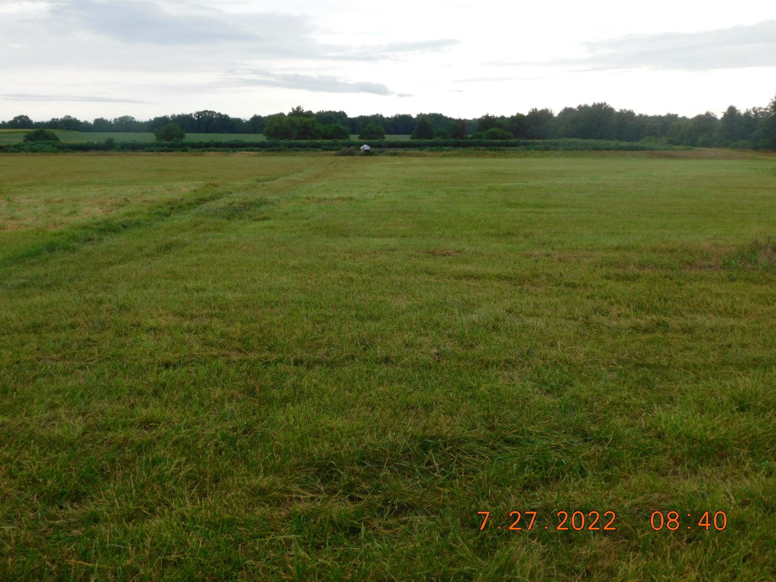 land-audrain-county-missouri-20-acres-listing-number-16929-Open Land-11.jpg