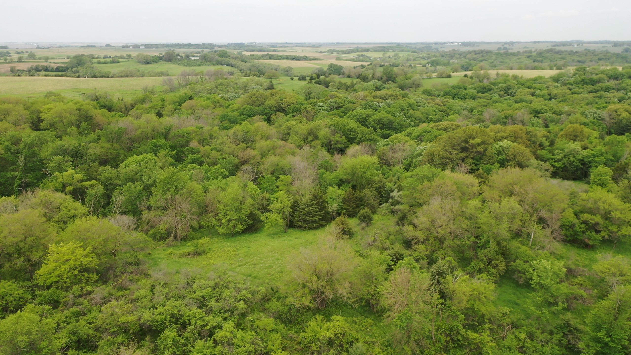 Guthrie County, Iowa Land Available