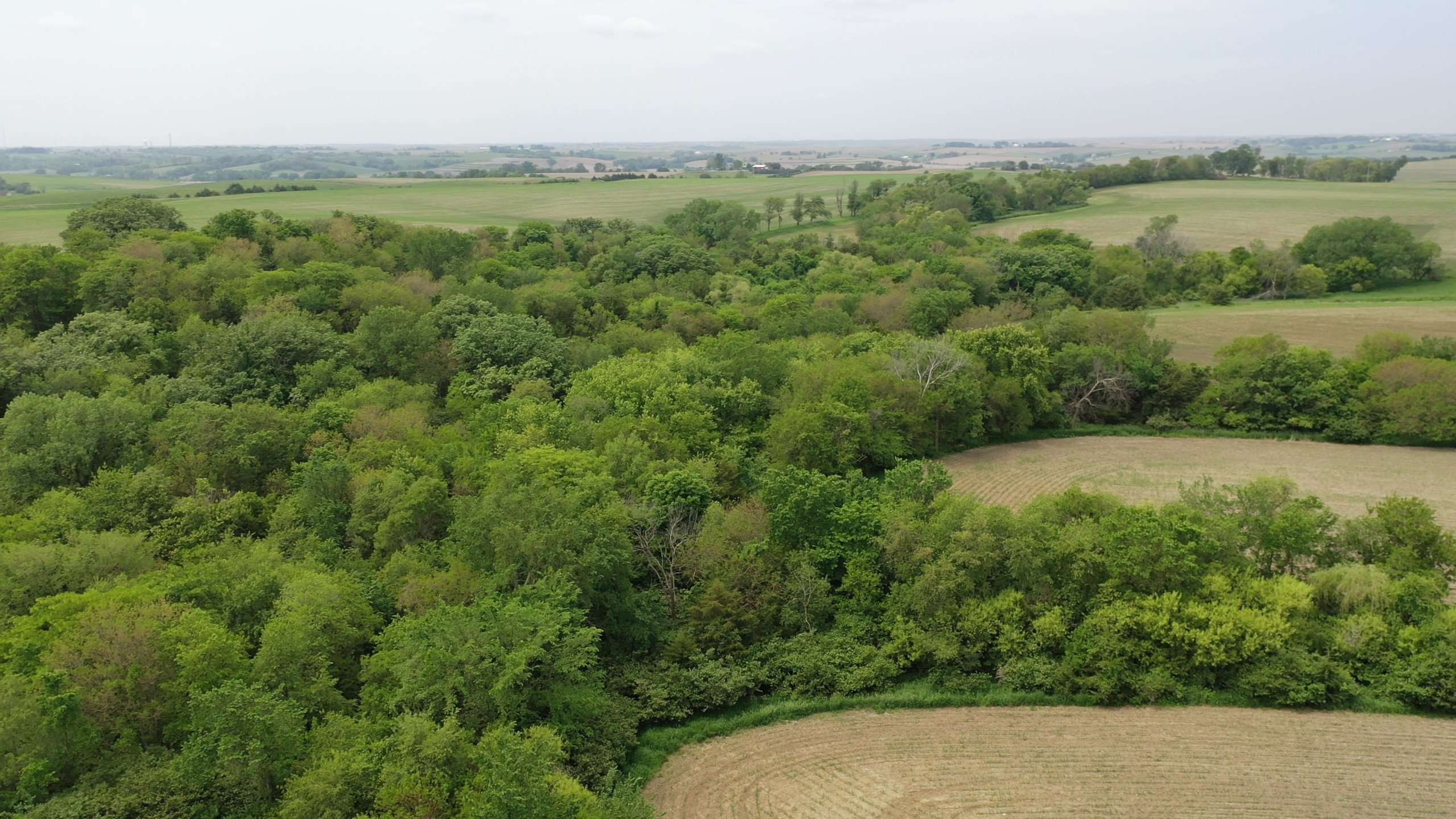 Guthrie County, Iowa Land Available