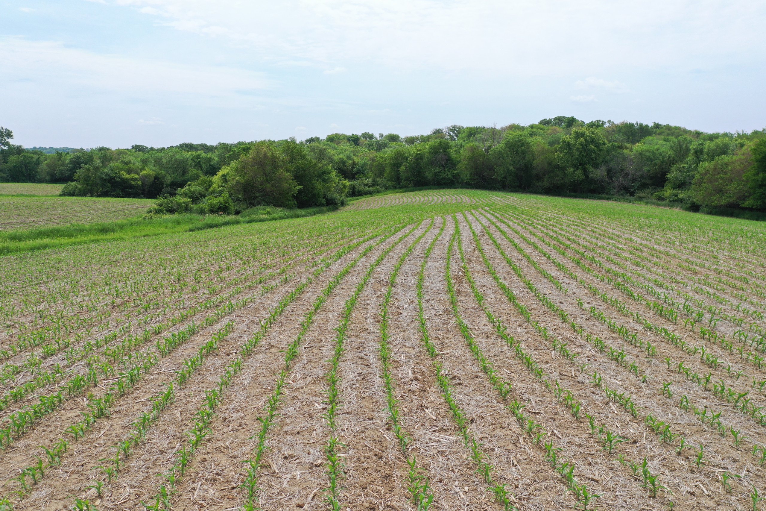 Guthrie County, Iowa Land Available