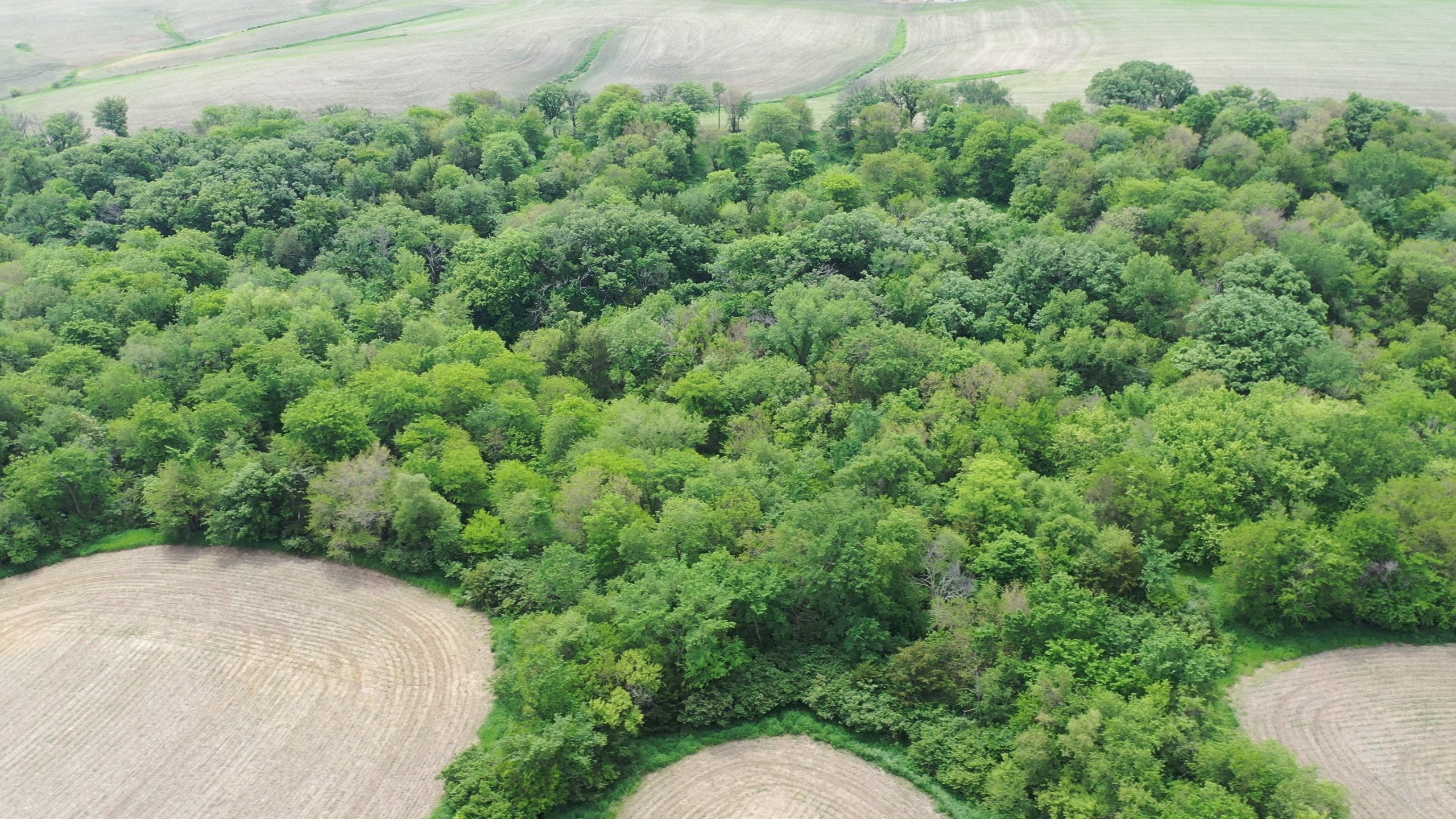 Guthrie County, Iowa Land Available