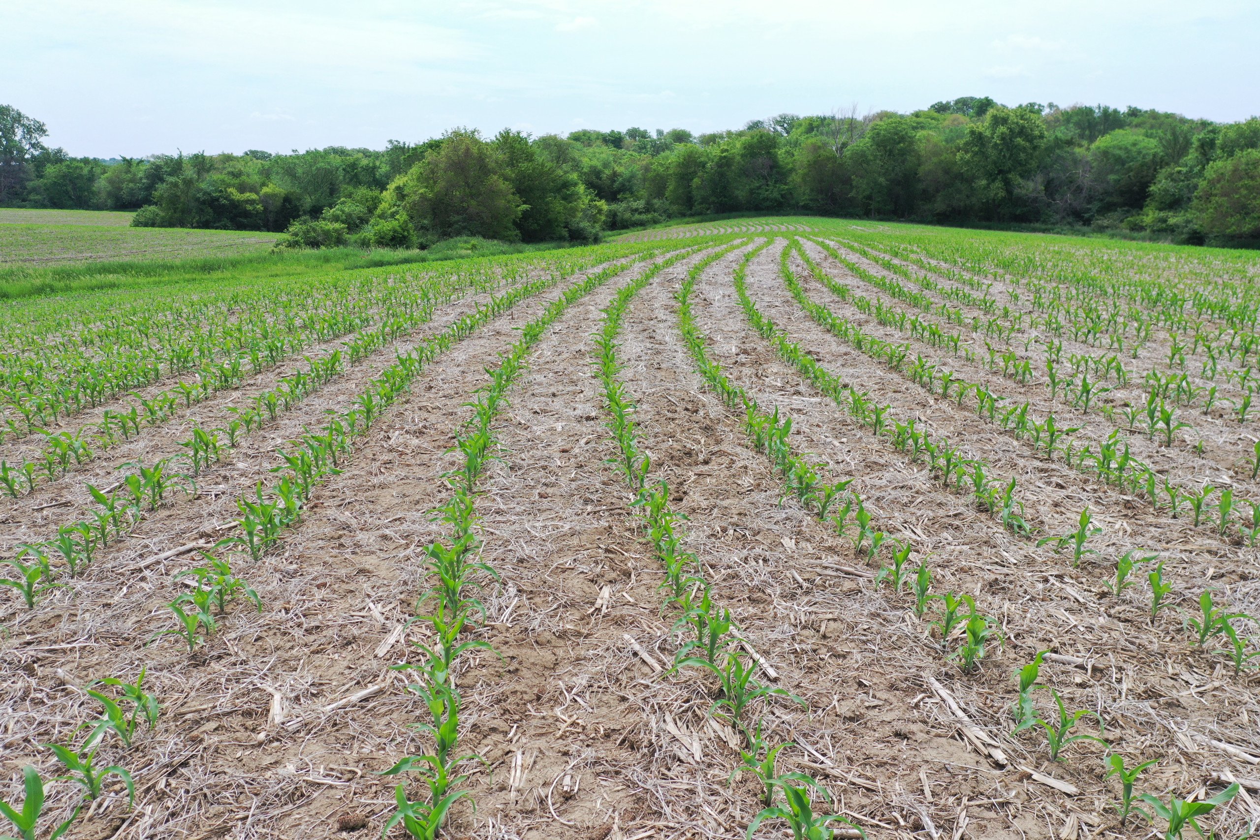 Guthrie County, Iowa Land Available