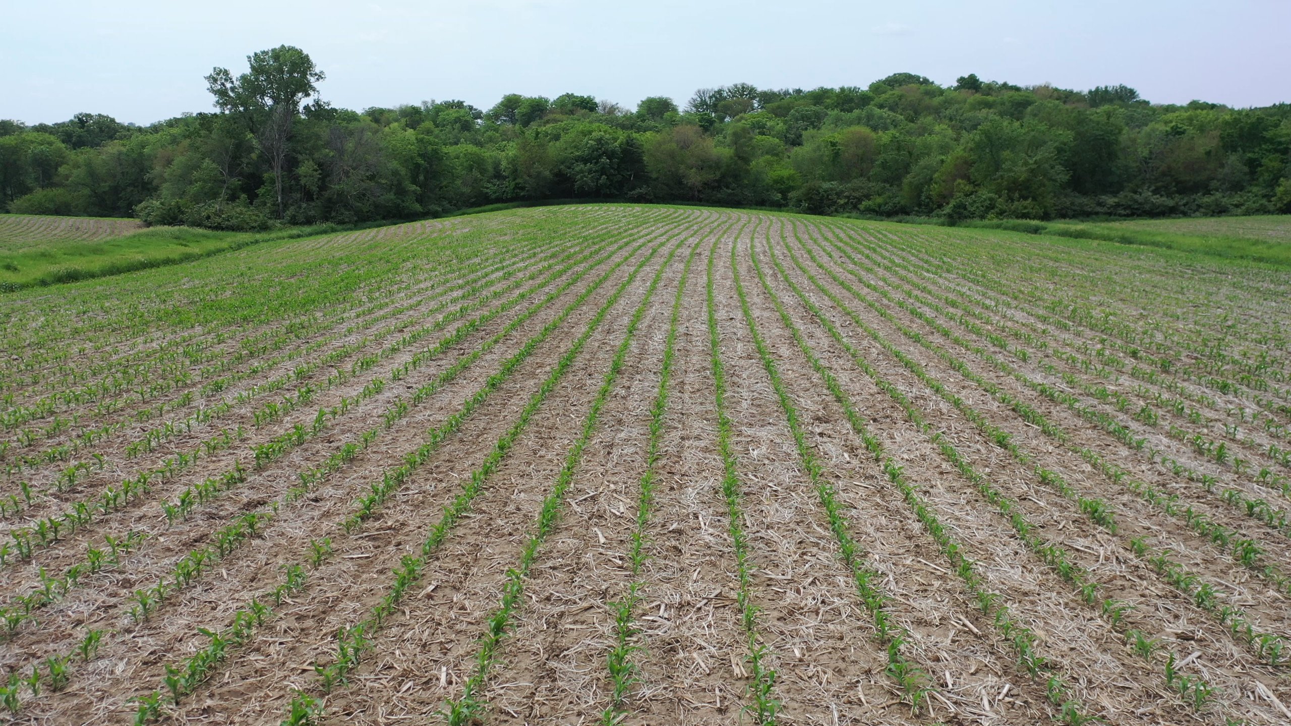 Guthrie County, Iowa Land Available