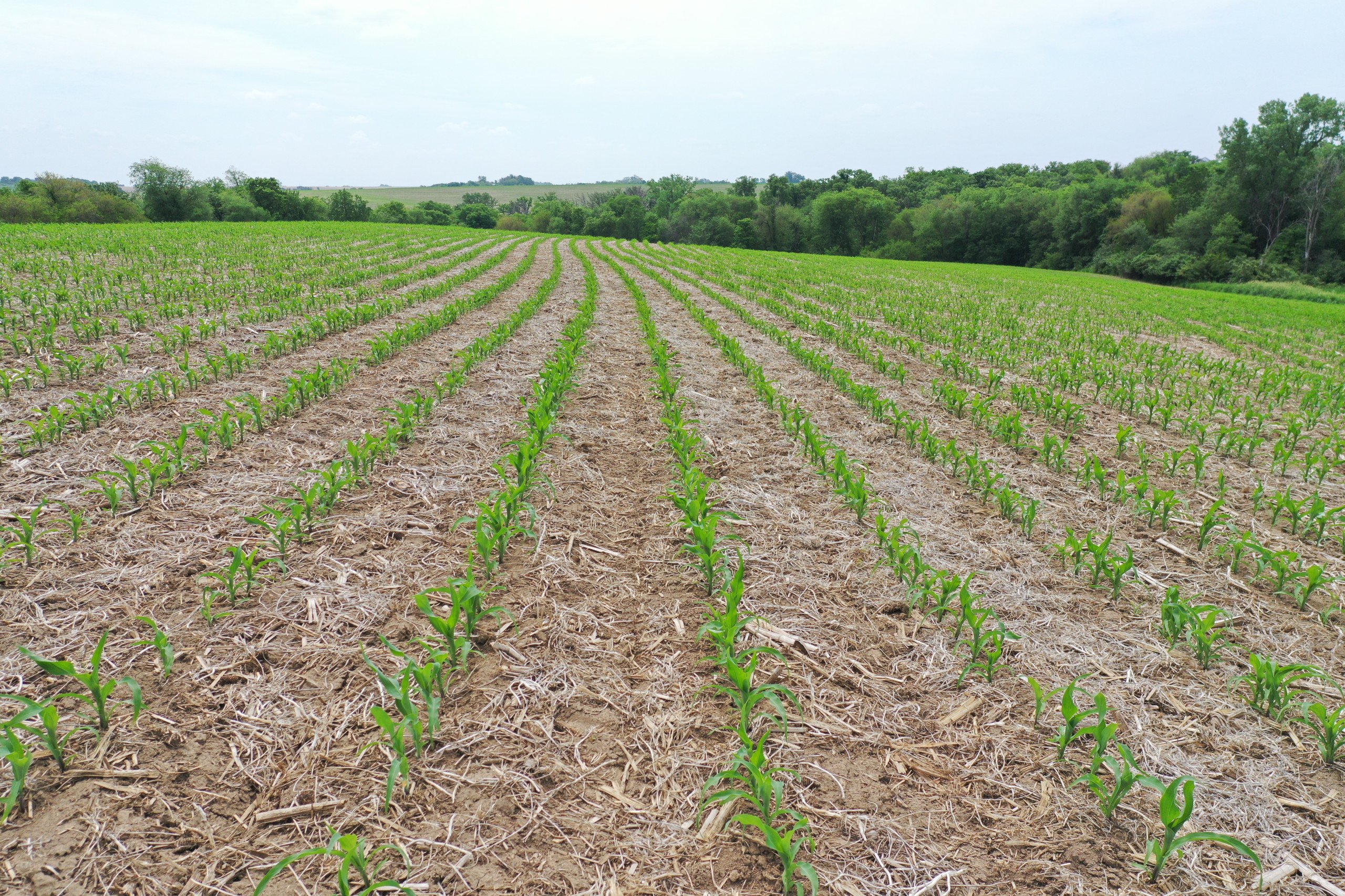 Guthrie County, Iowa Land Available