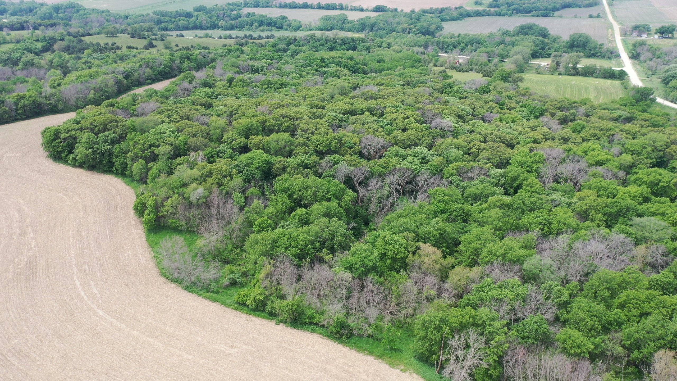 Guthrie County, Iowa Land Available